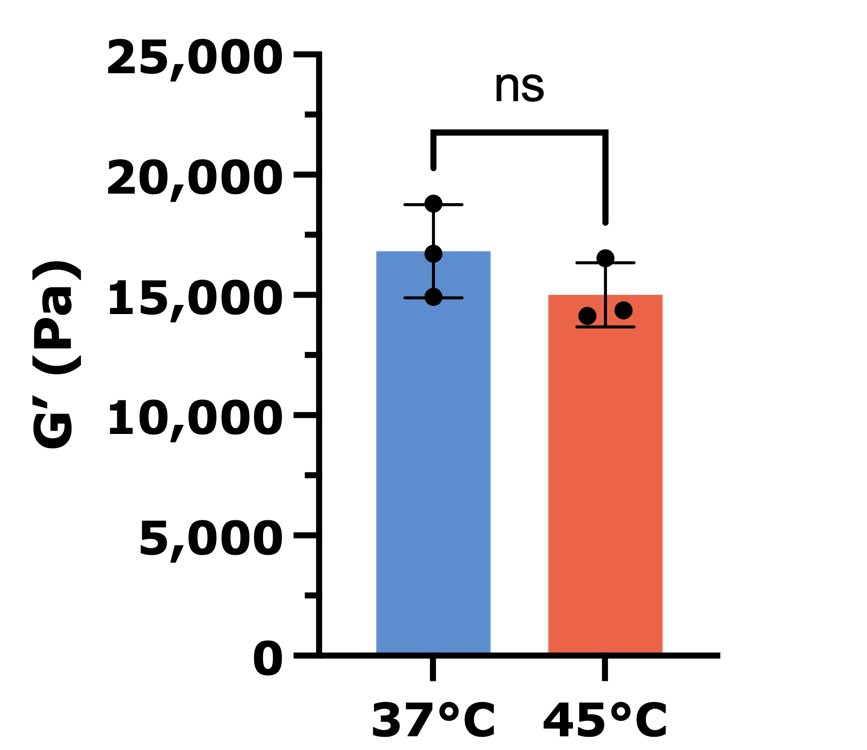 temp effect - G' Bar graph