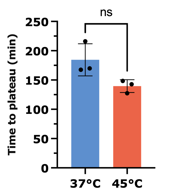 temp effect min- Time to plateau