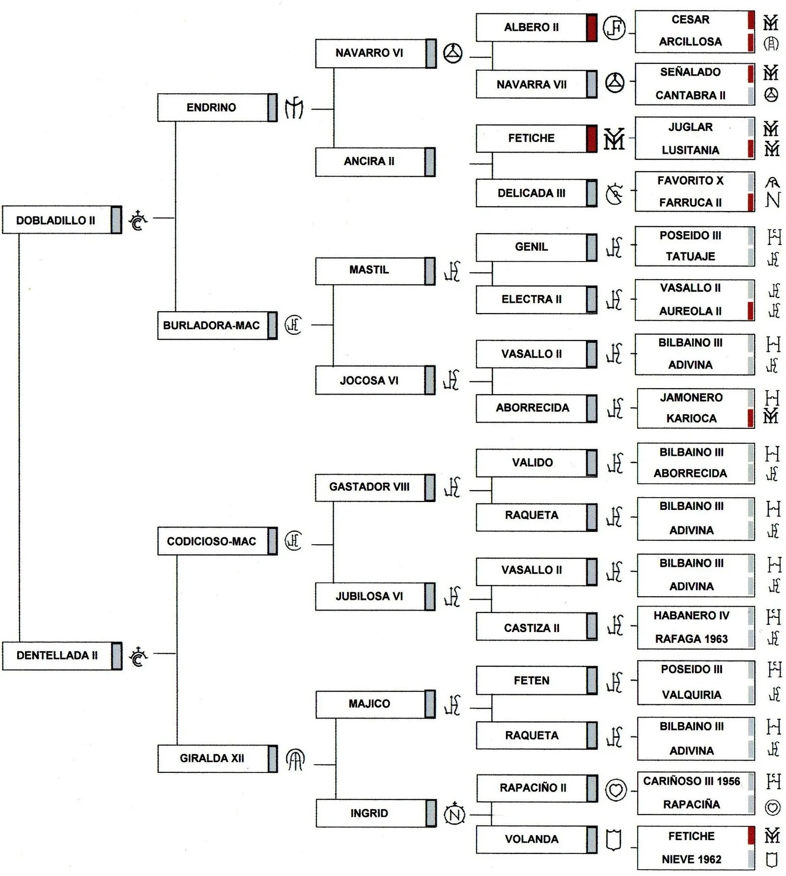 Bailadora RHF pedigree