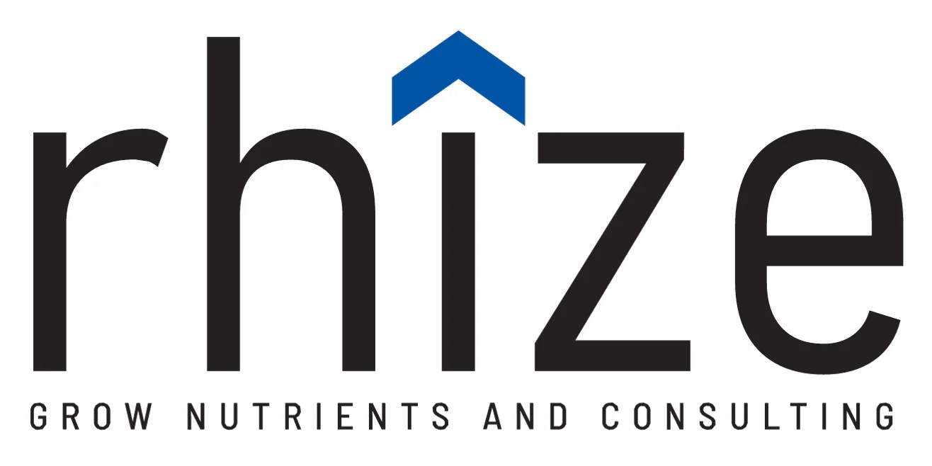 Rhize Documentation - City Texture Collection - Mobile Quality