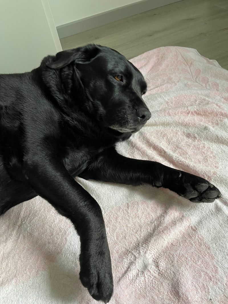 Github Dage123laile Dage - Minimal Patterns - Creative High Resolution Collection