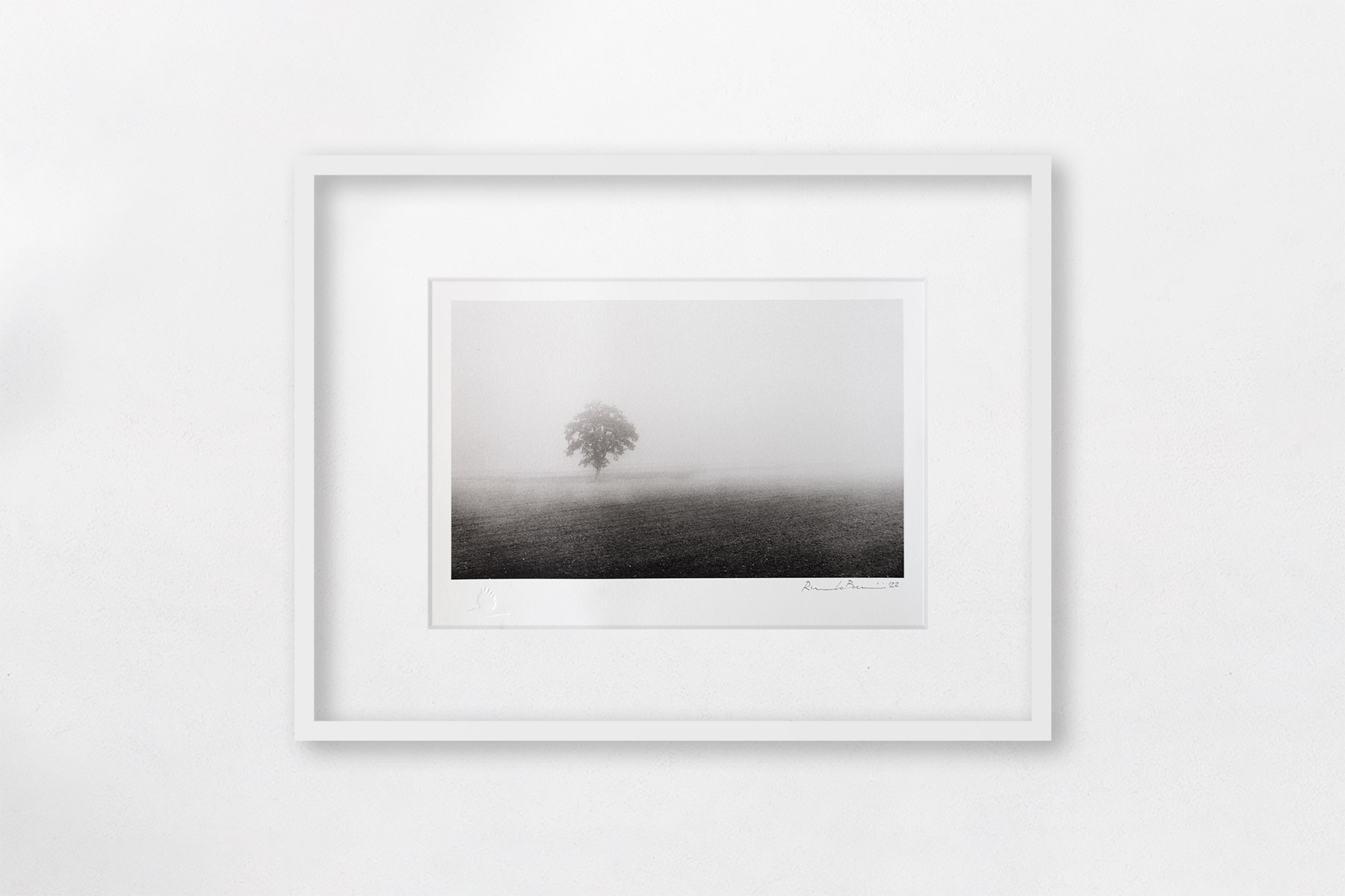 MERCY TREES オランダ写真家　Hans van Ommeren 写真集 Lonesome Tree in the Mist ⋆ Riccardo Budini documentary photography