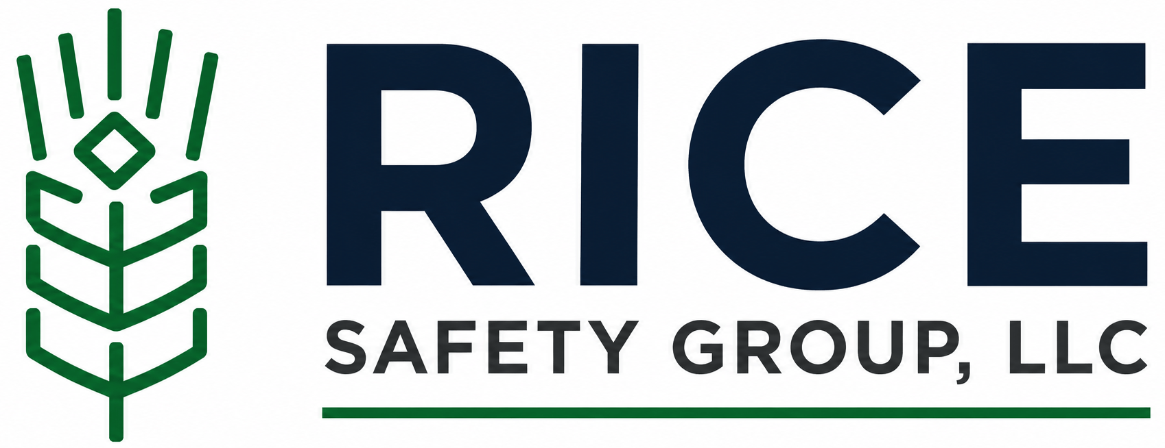 Rice Safety Group, LLC