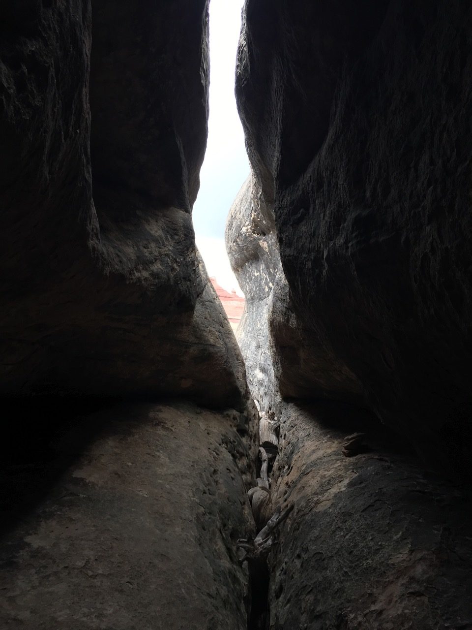 Looking out from inside the crack