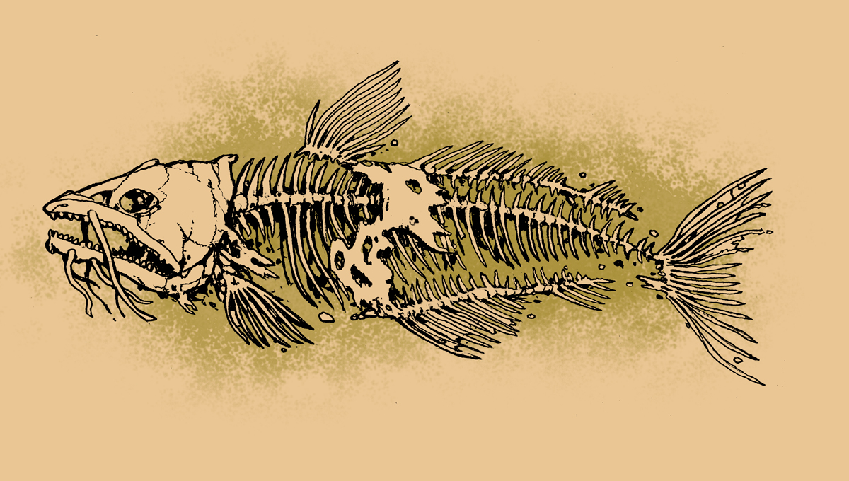 Tattoo You - Rich Powell Illustration 680_x_1200_jpg