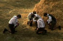haystack