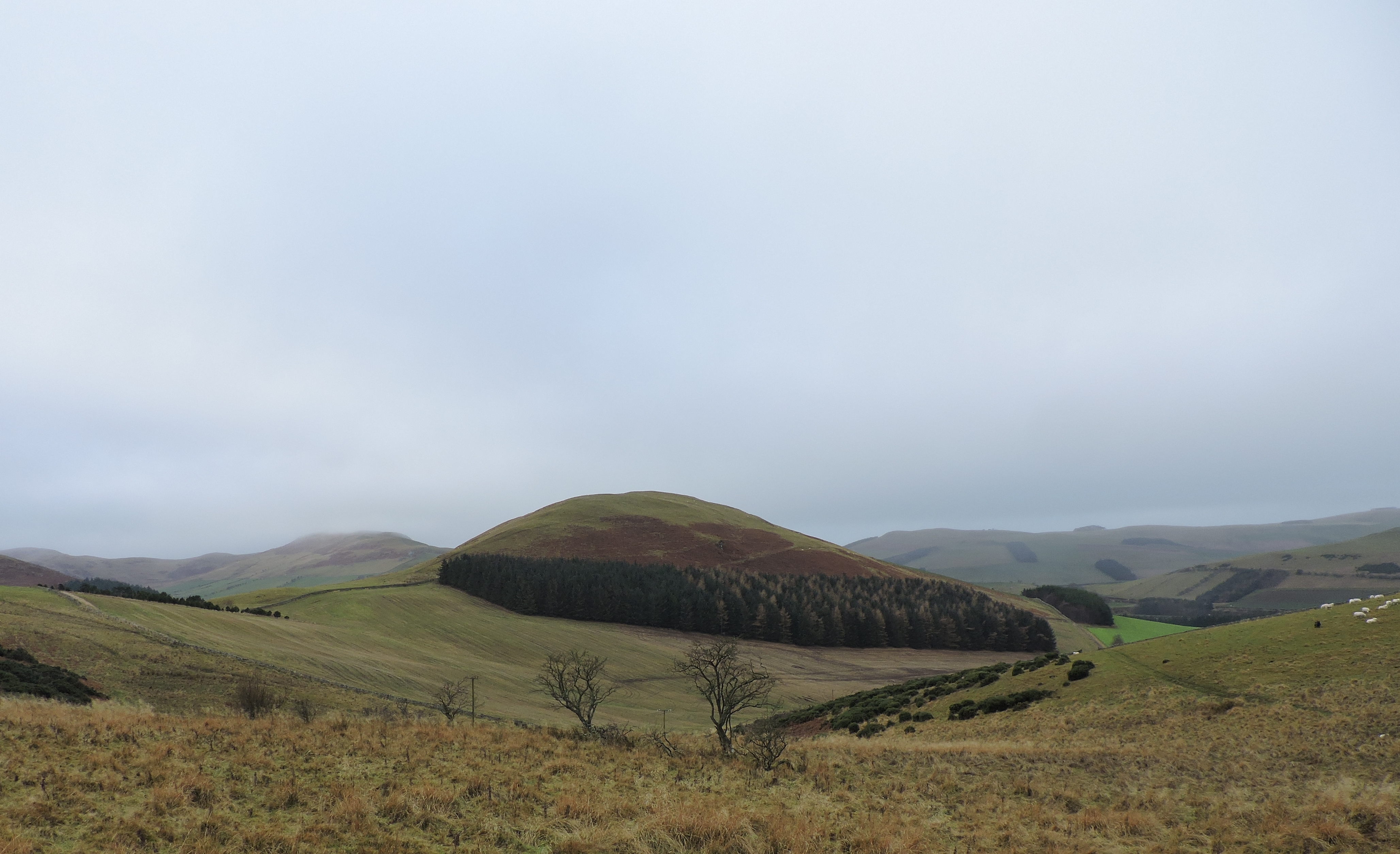 The principal summits are mainly in the east with names like Hedgehope, Comb Fell and Bloody Bush Edge.