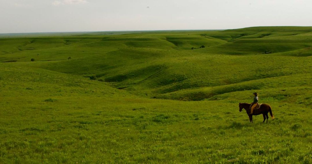 Voices on the Prairie: What I Learned While Writing My First Novel