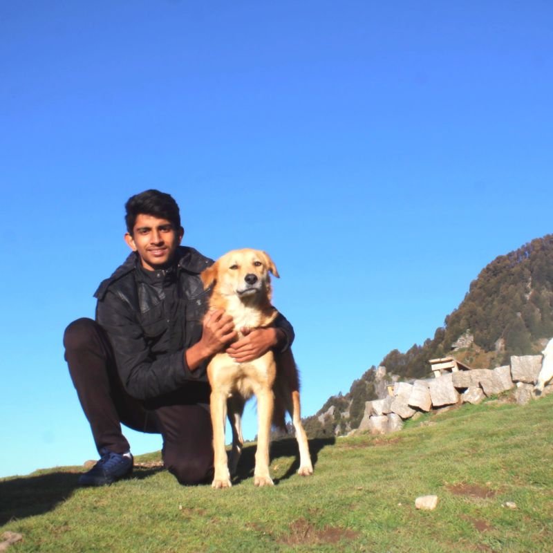 Github Vosegaard Simpson - Premium Colorful Background Gallery - 8K