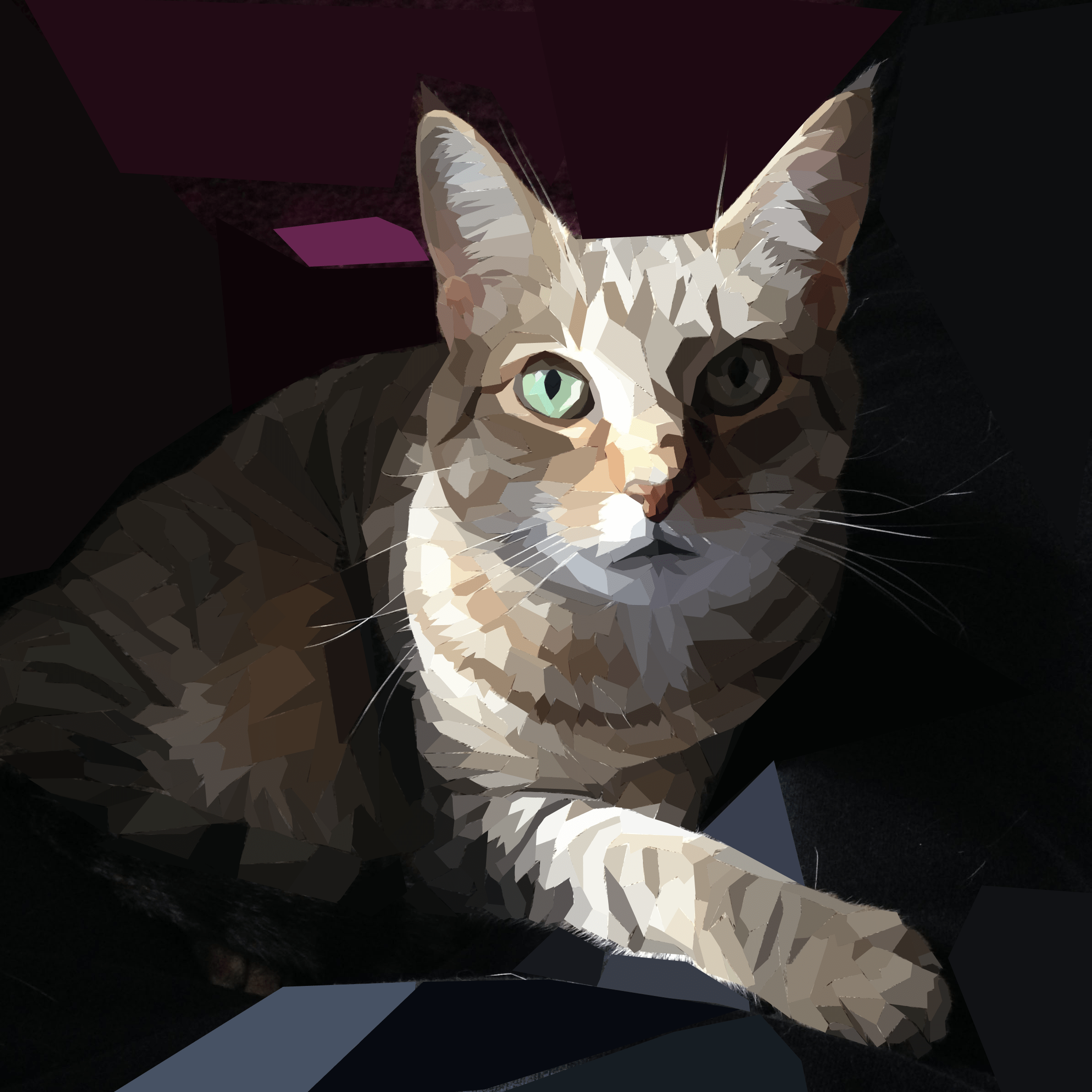 A cat, sitting partly in the shadows