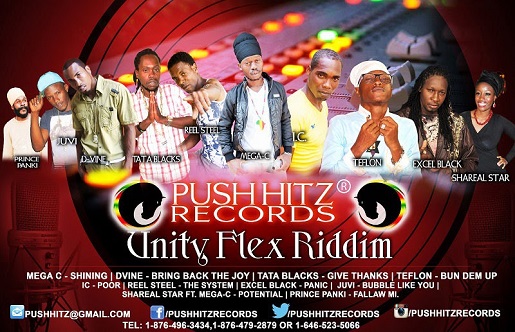 UnityFlexRiddim