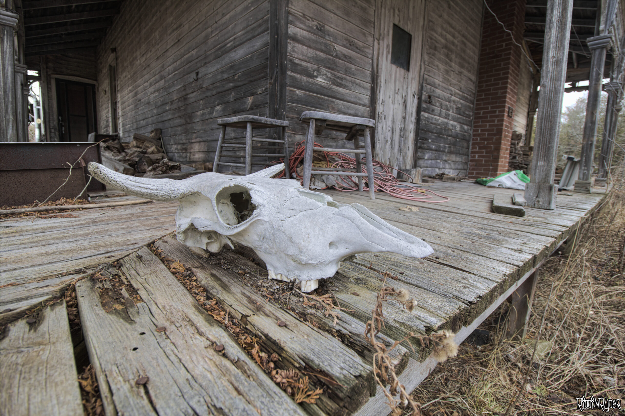 Abandoned House of Horrors