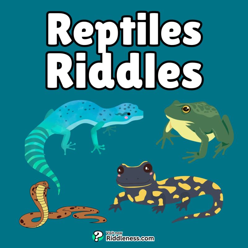 Redundant Riddle And Answer Riddles Com - Colorful Design Collection - High Resolution Quality