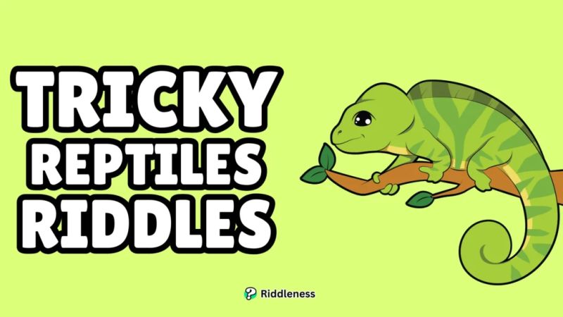Reptiles Riddles Com - Vintage Pattern Collection - 8K Quality
