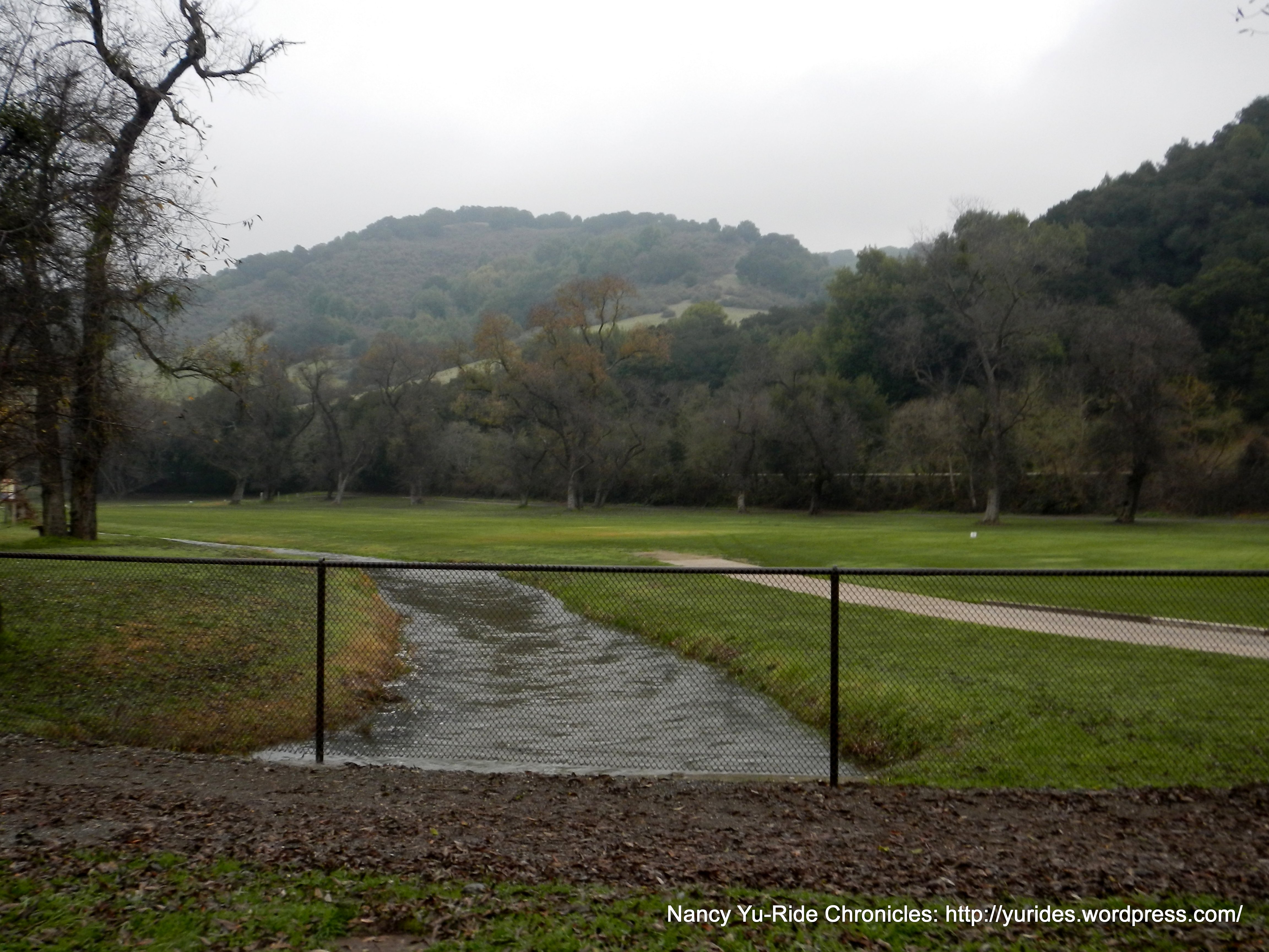 Willow Park Golf Course greens