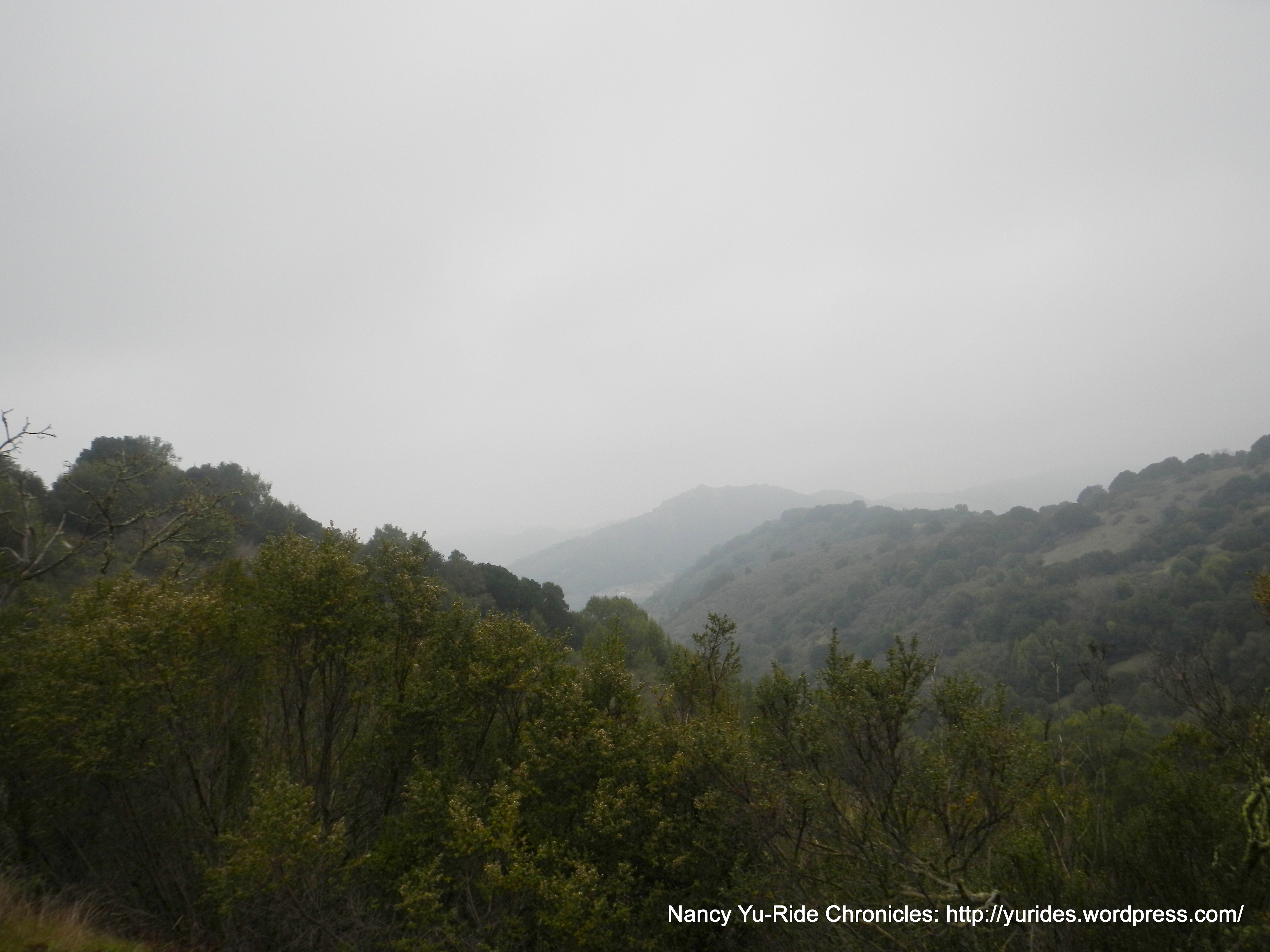 view around Chabot Park