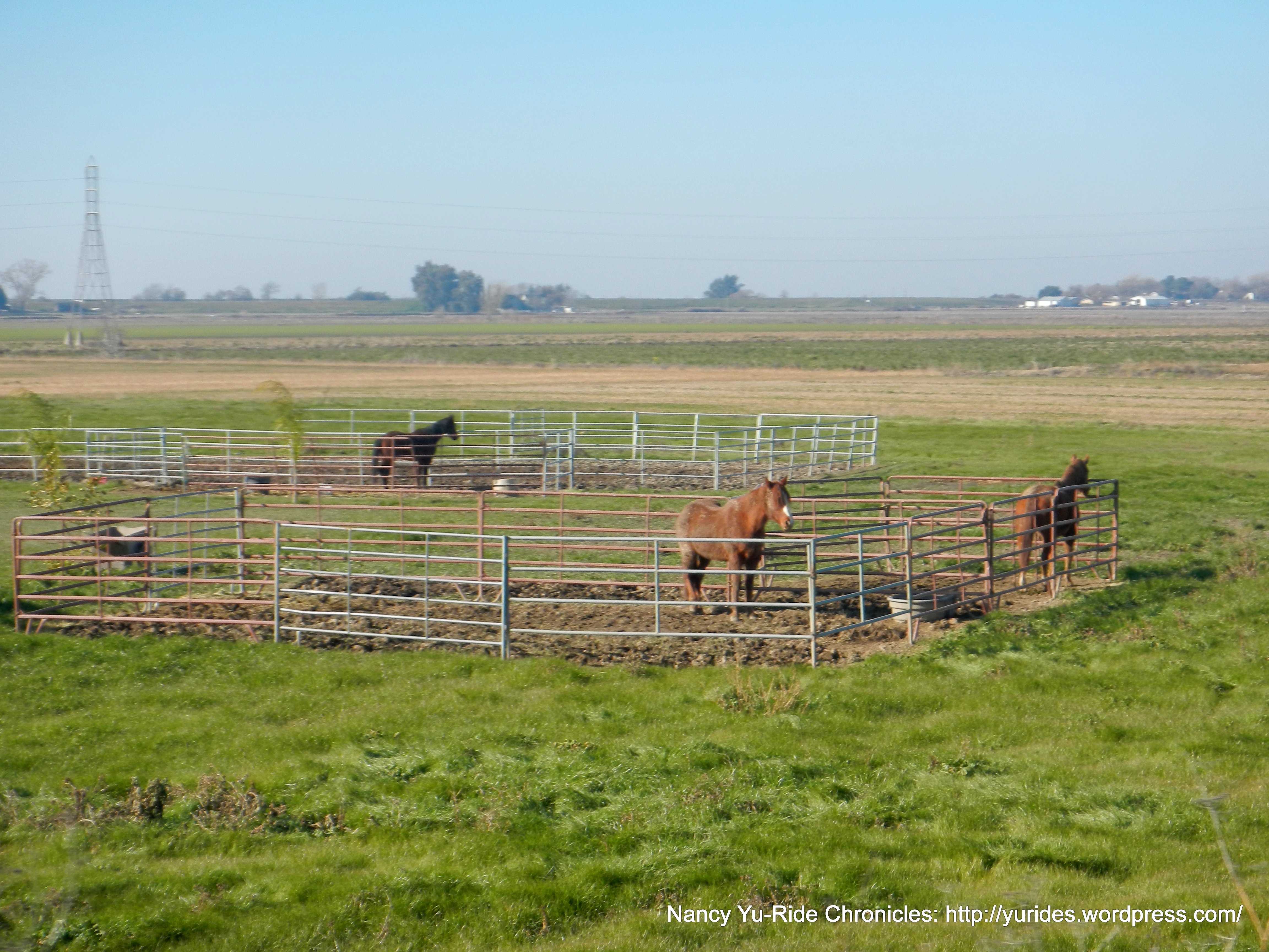 horse paddocks along Hwy 220