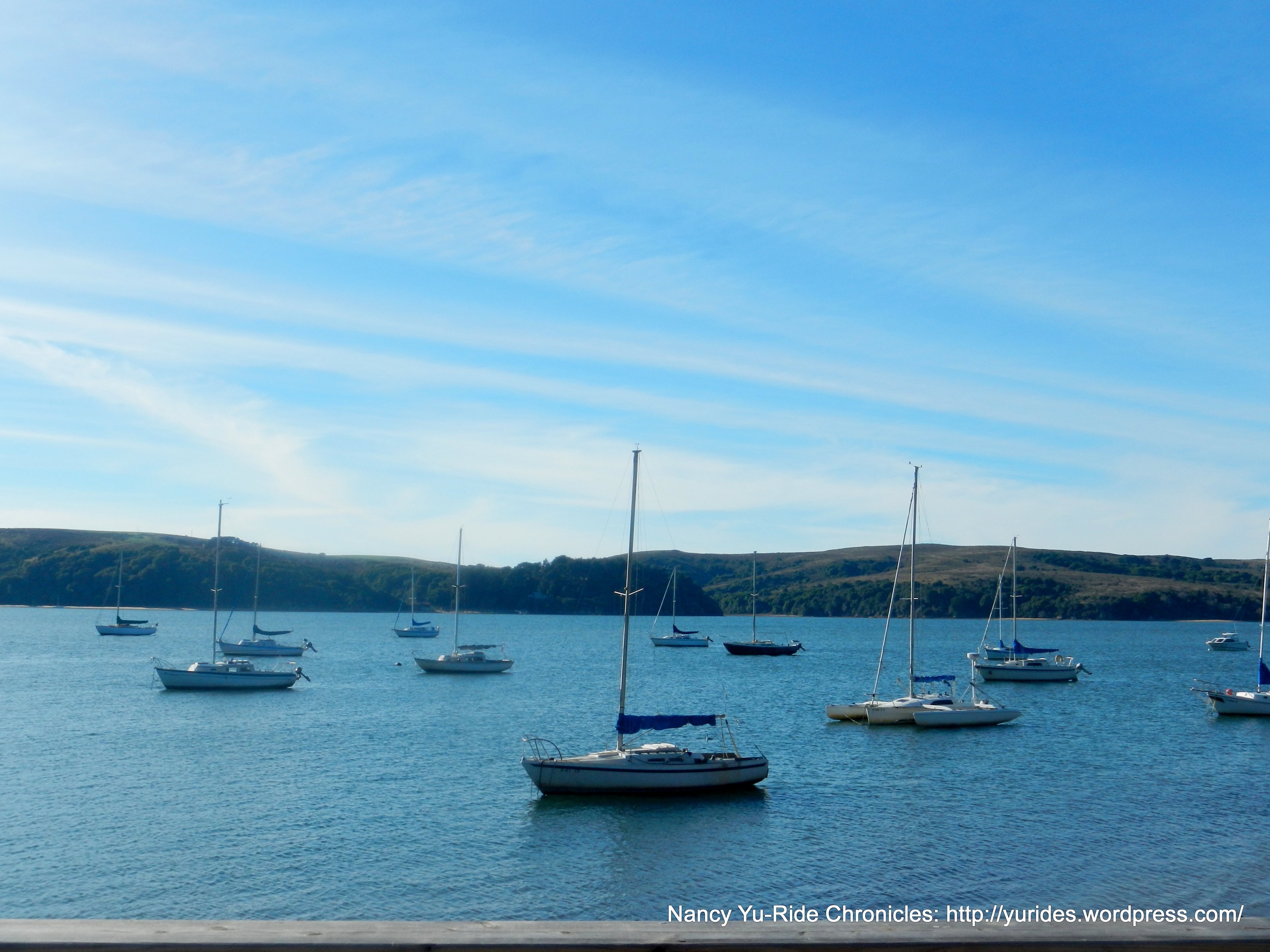 Marshall-Tomales Bay