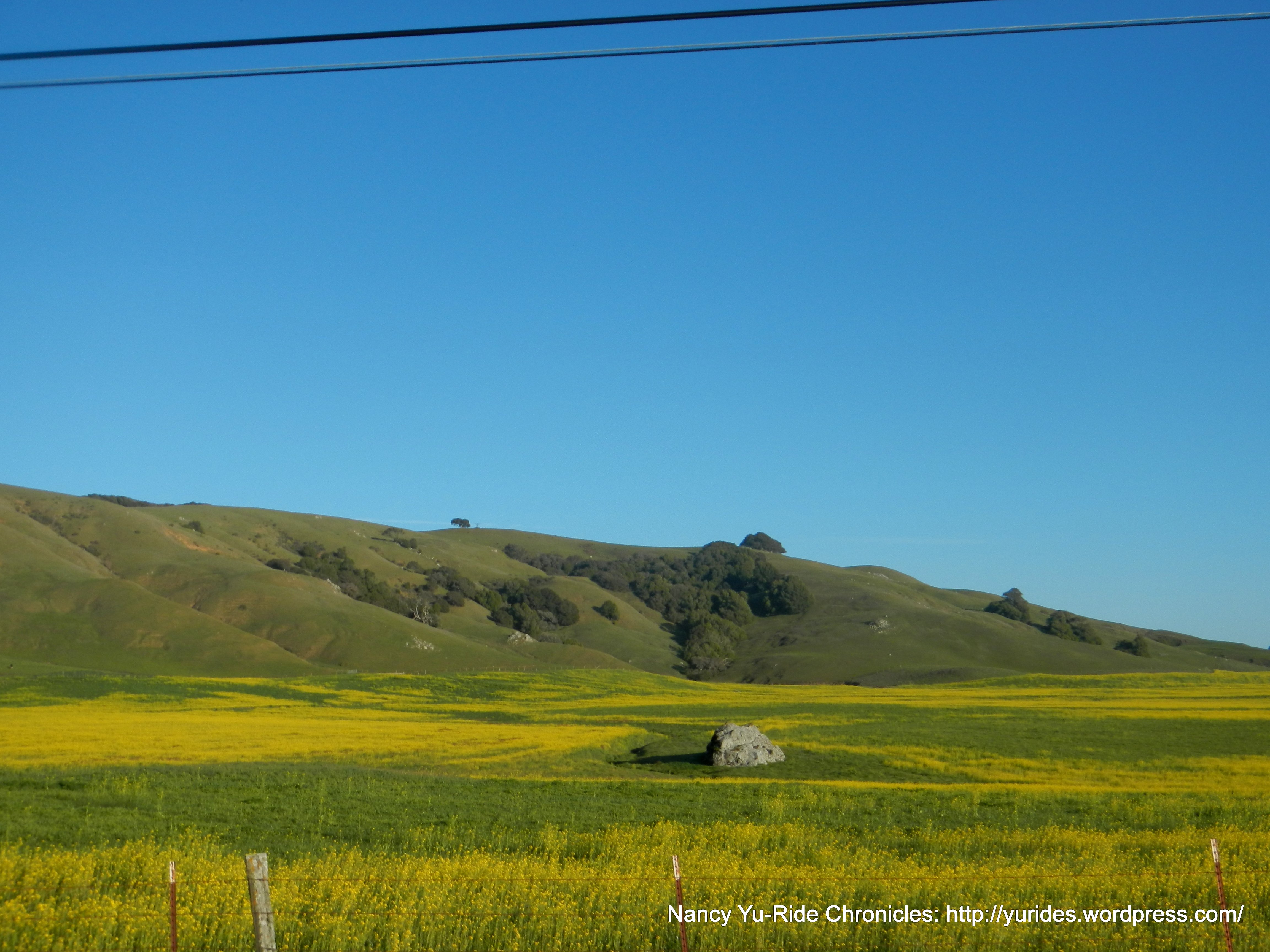 gorgeous show of colors