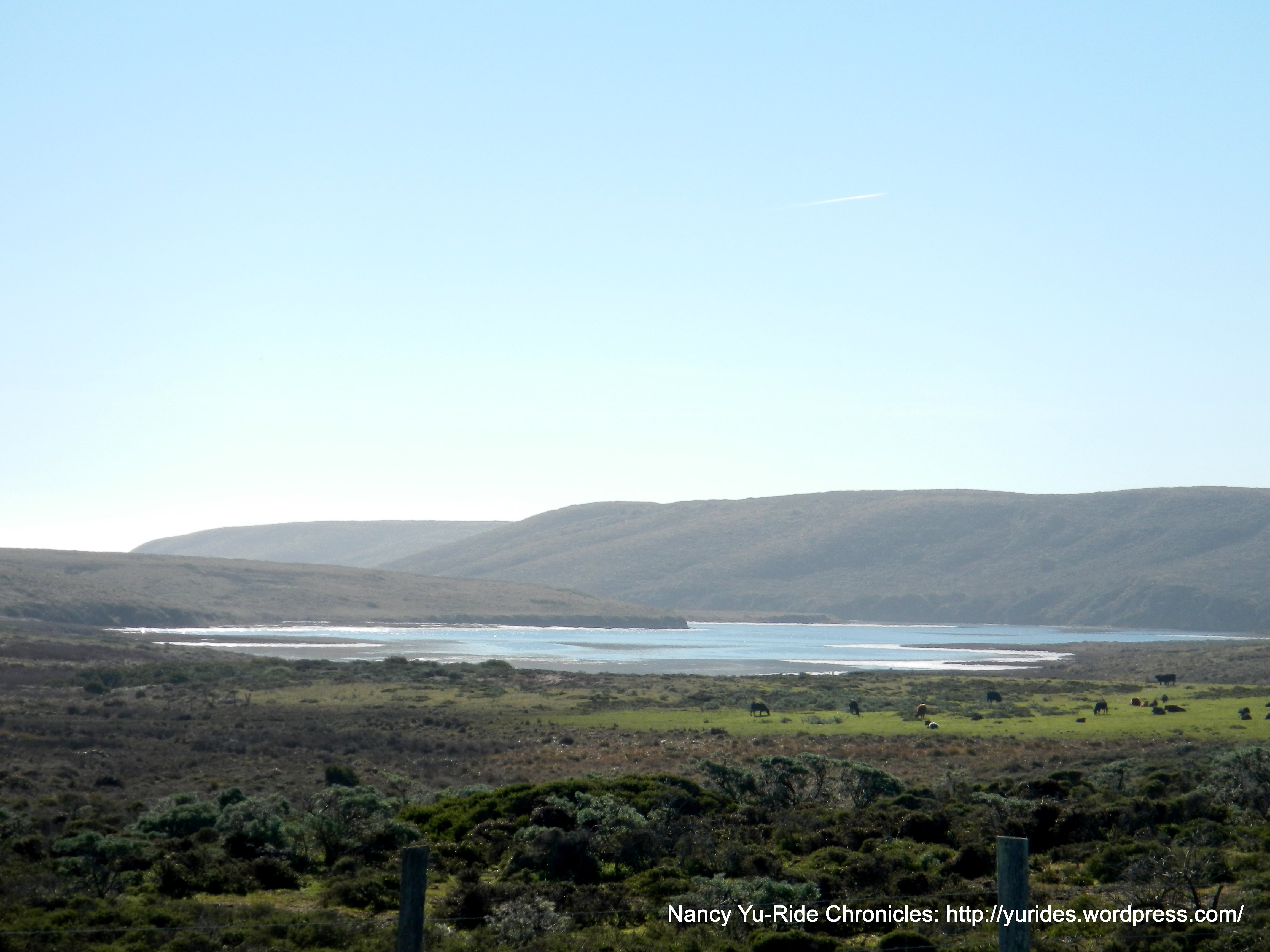 view of the Schooner Bay
