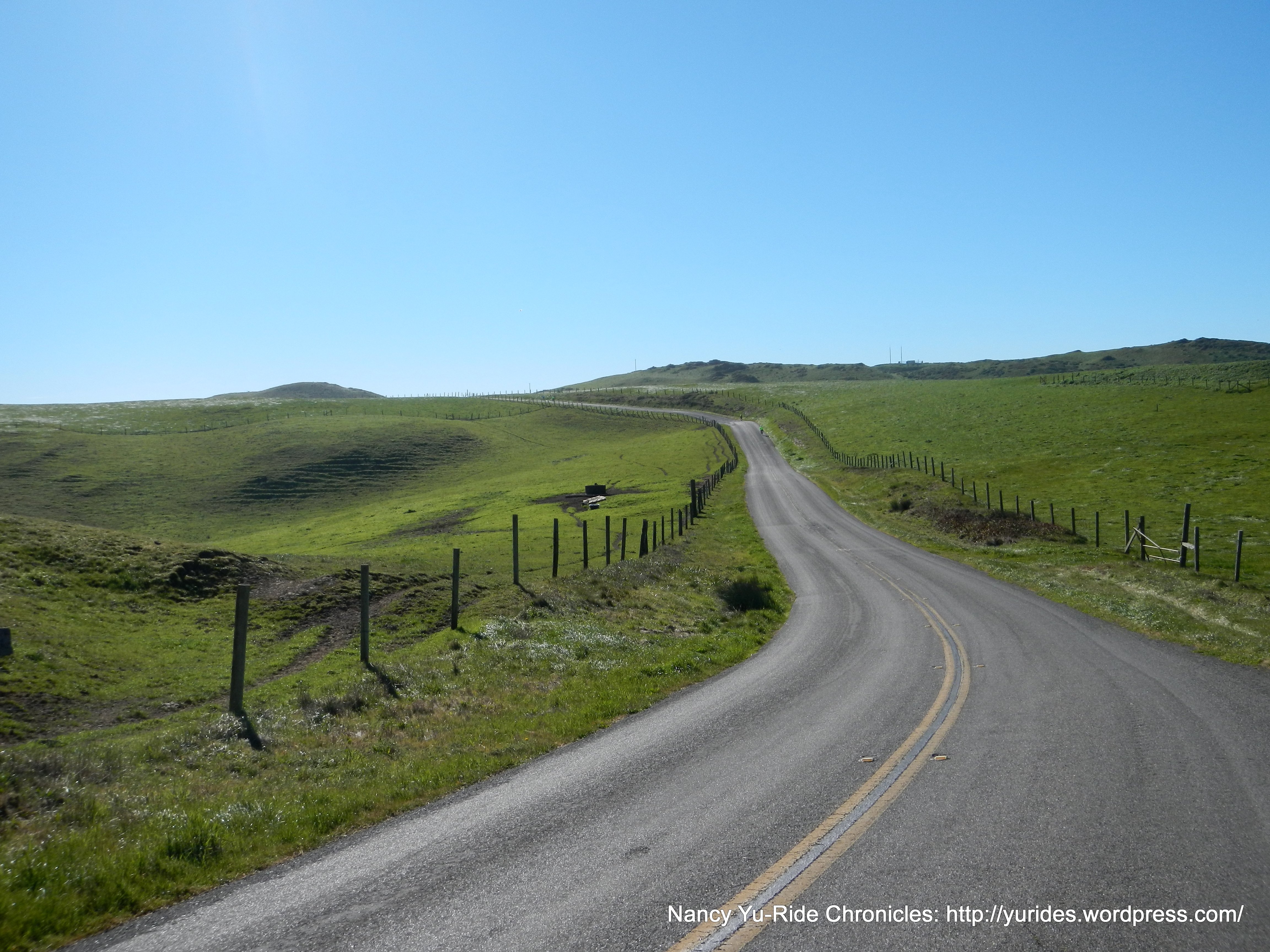 road to the Lighthouse
