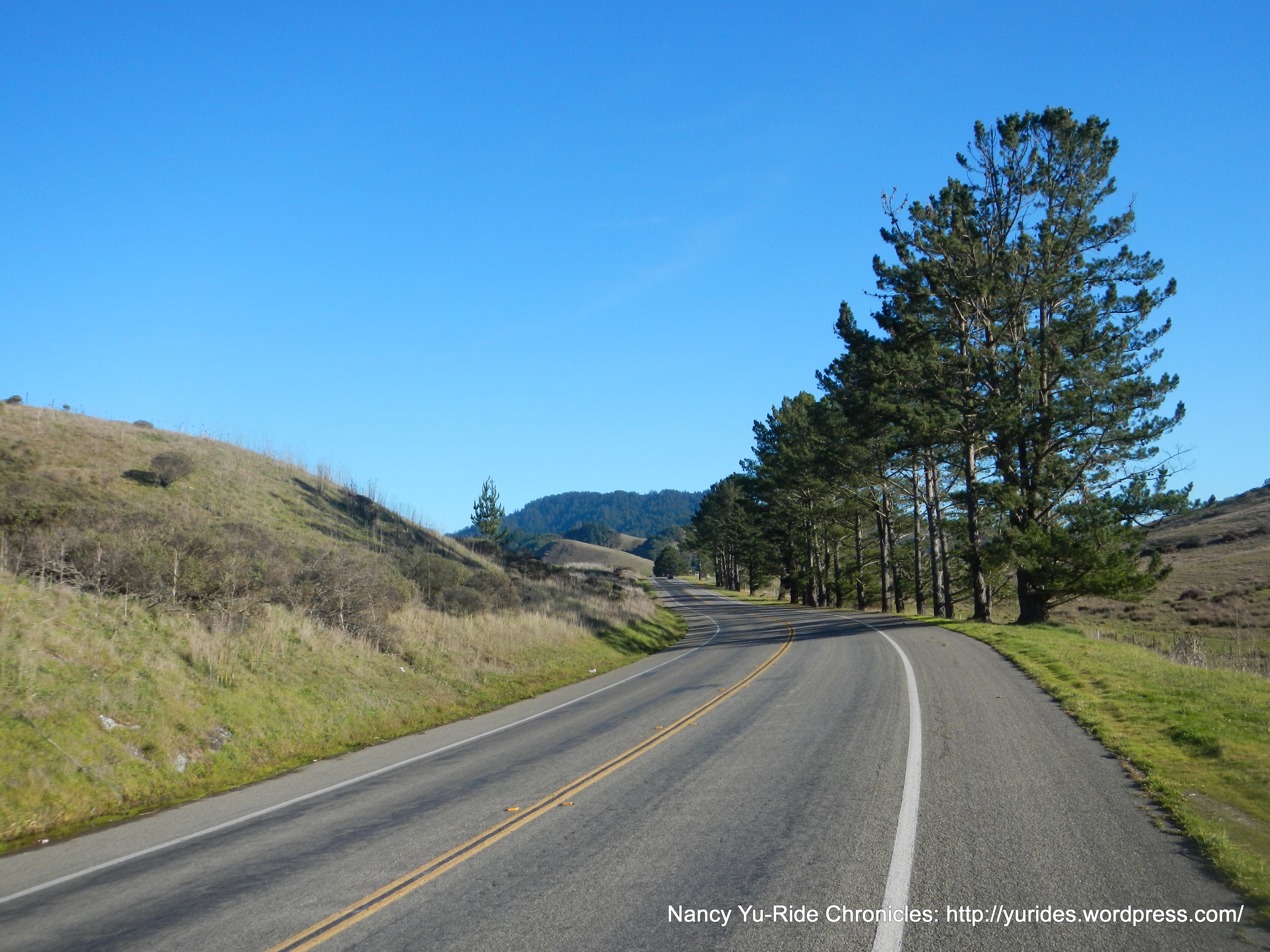 Nicasio Valley Rd