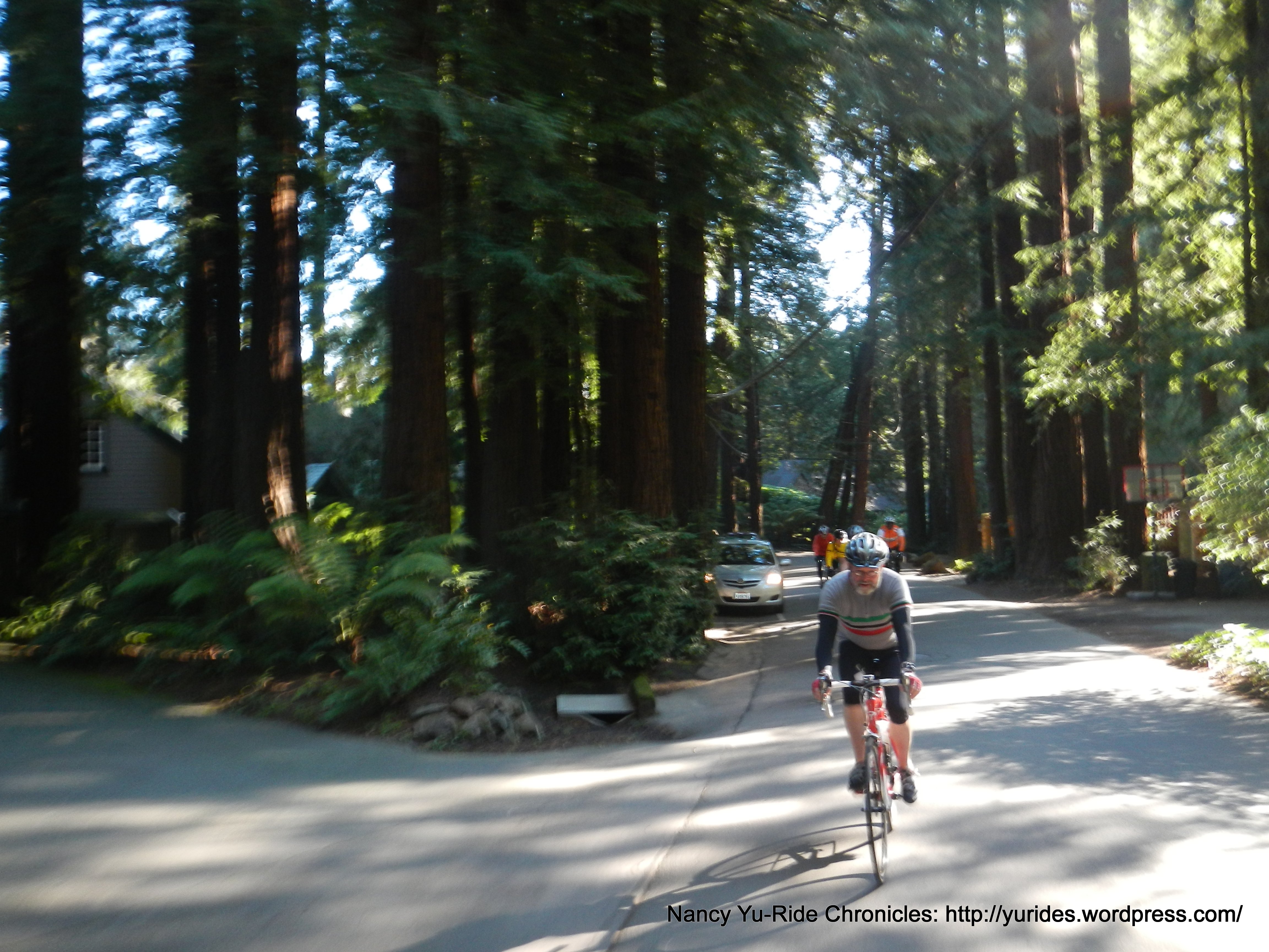 on Cascade Dr-Mill Valley