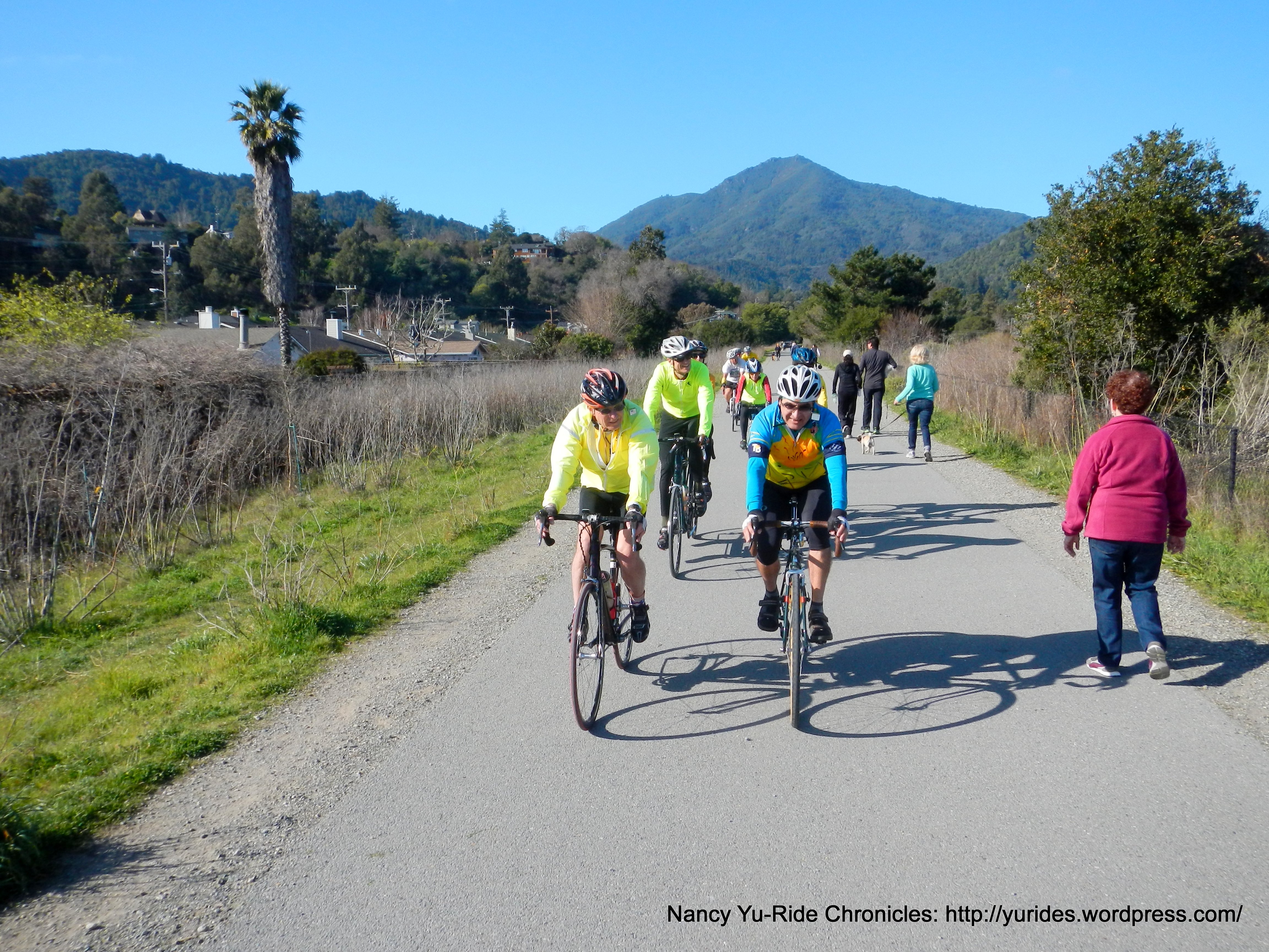 on the Larkspur Path