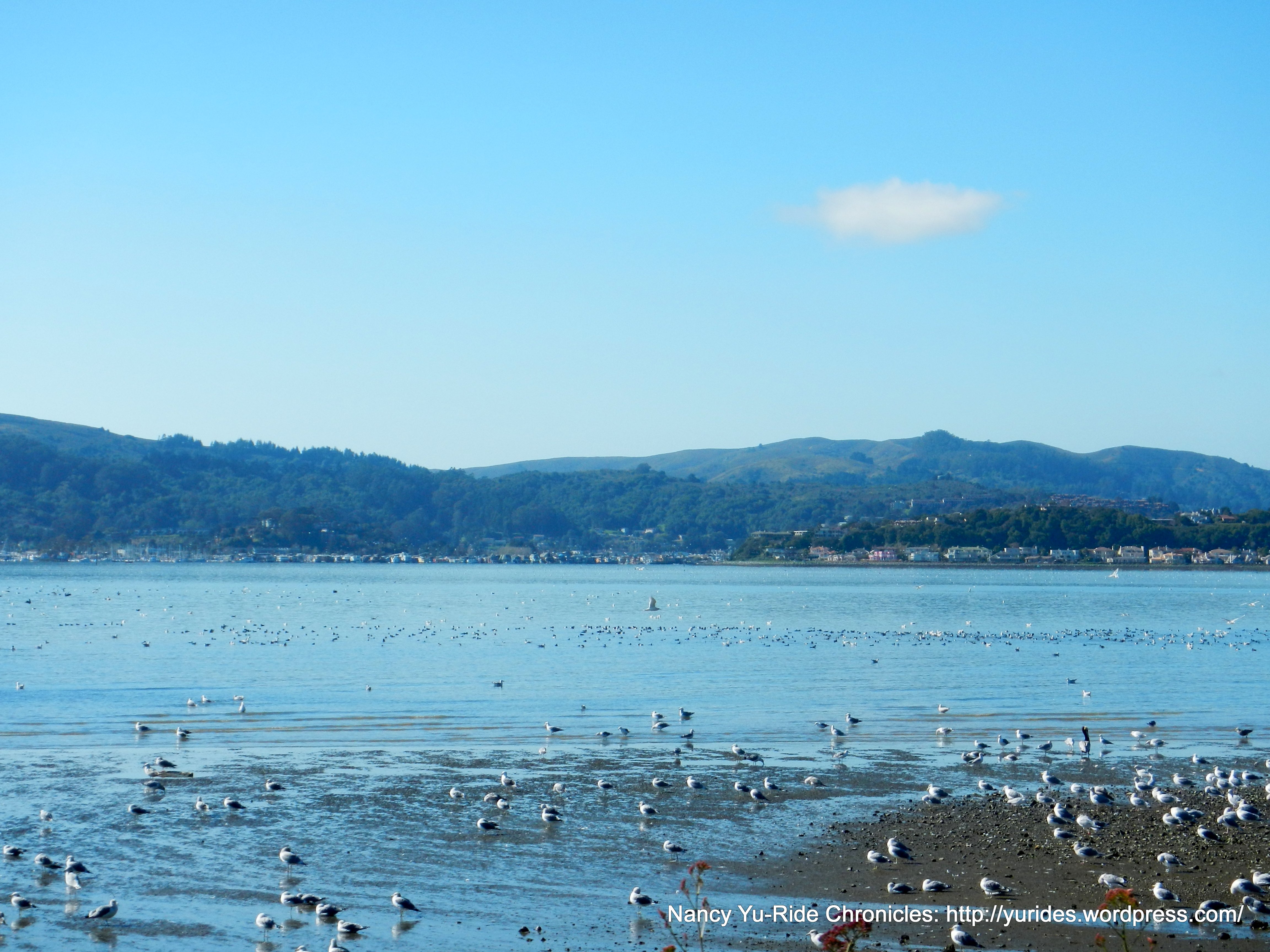 view of Richardson Bay from San Rafael Ave