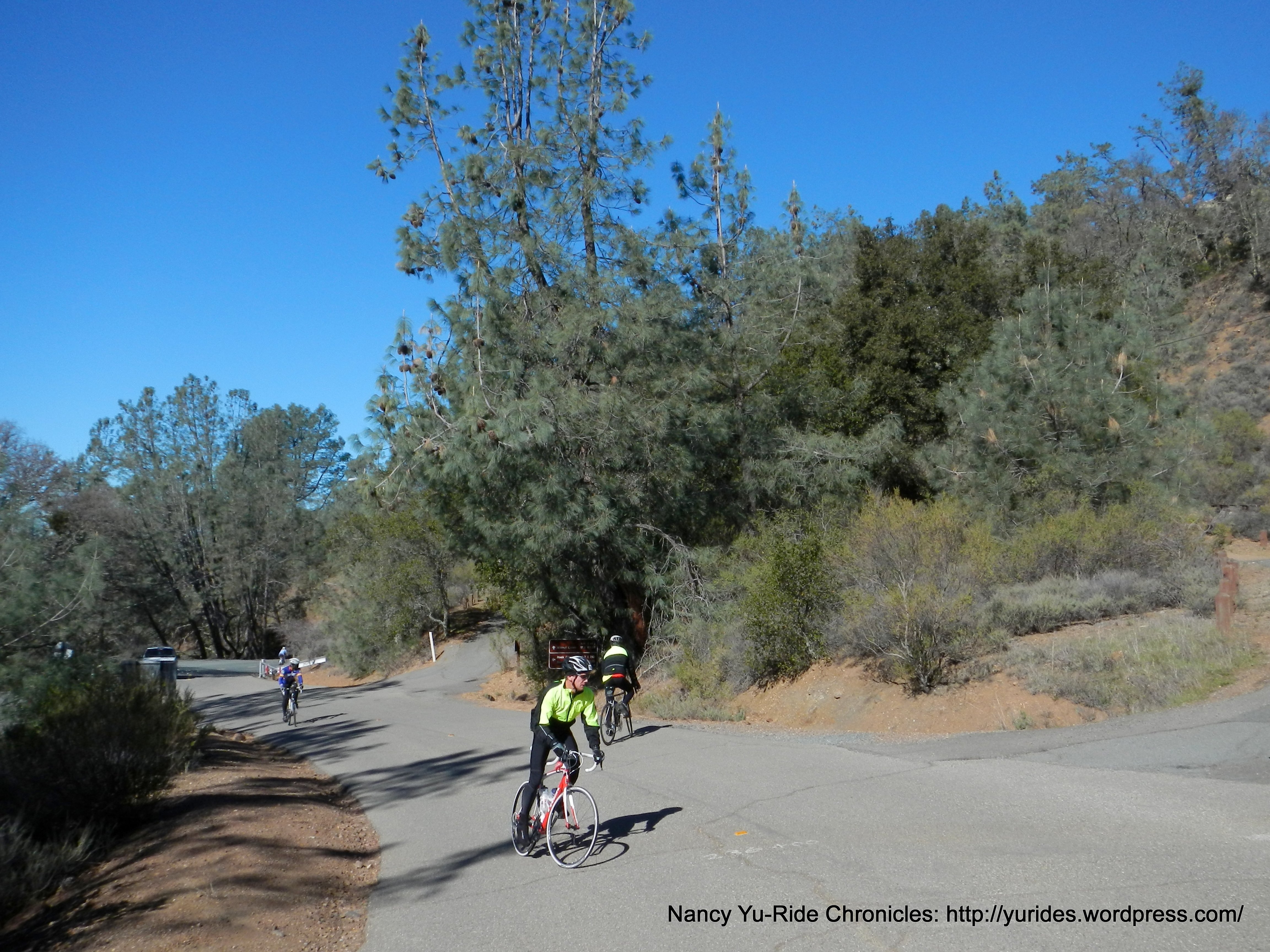 start of climb up Summt Rd