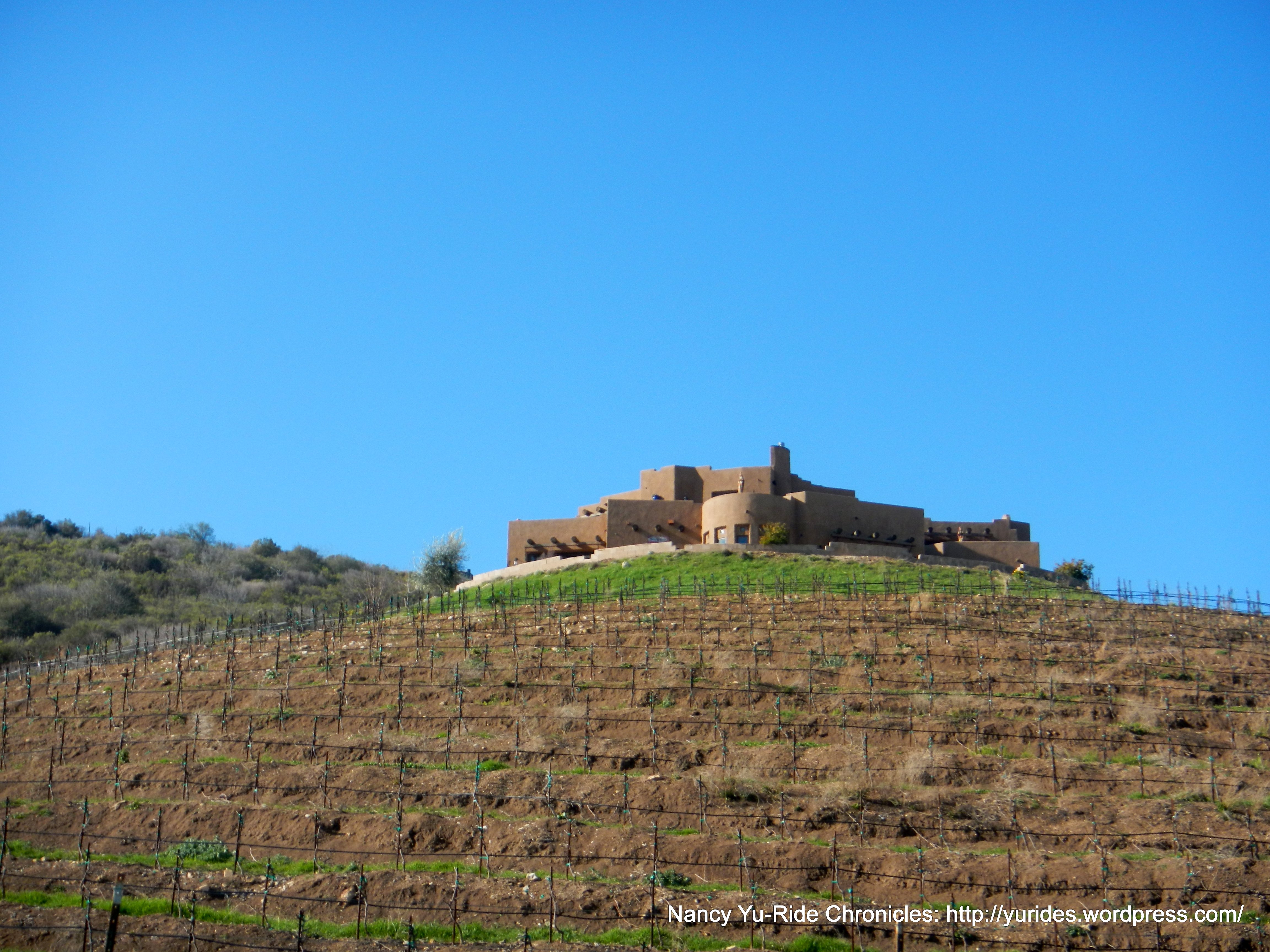 Wild Coyote Winery and B & B