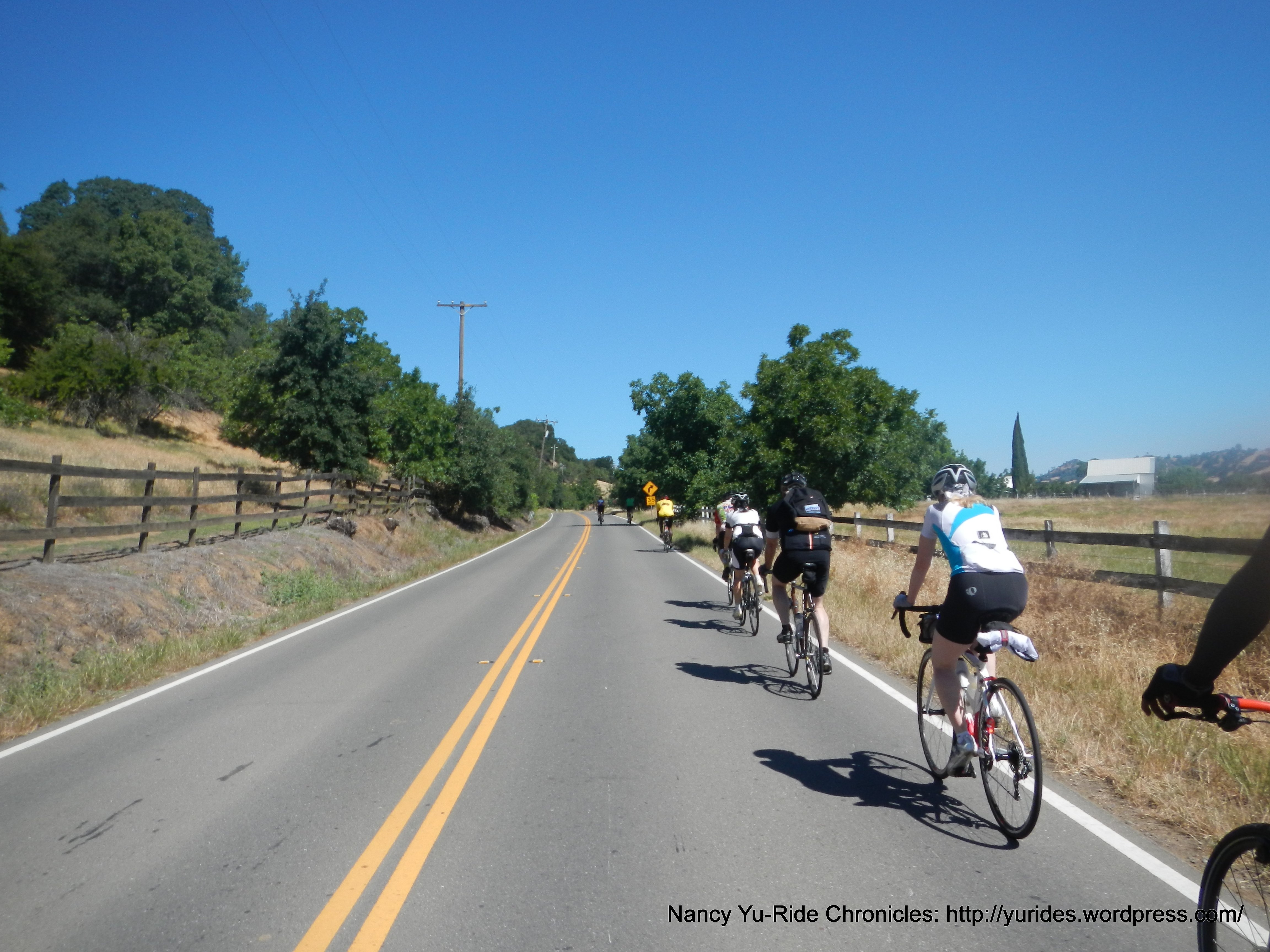 on Pleasants Valley Rd