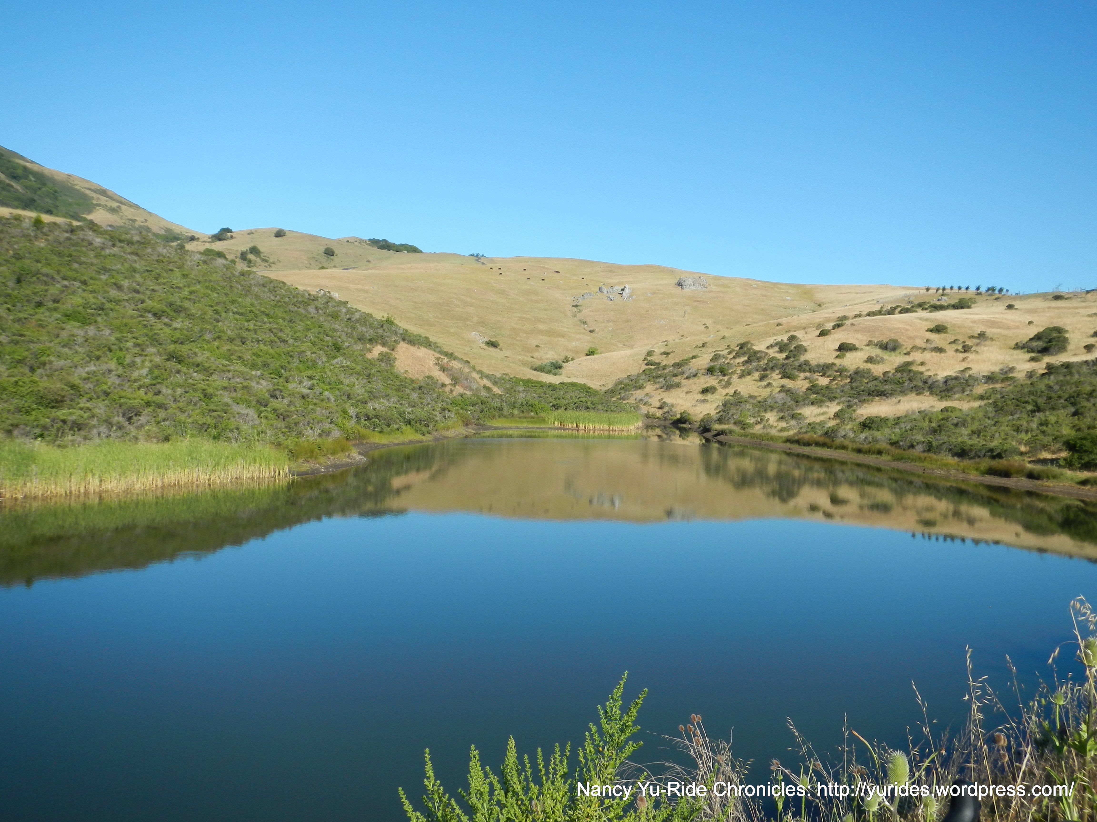 Nicasio Reservoir
