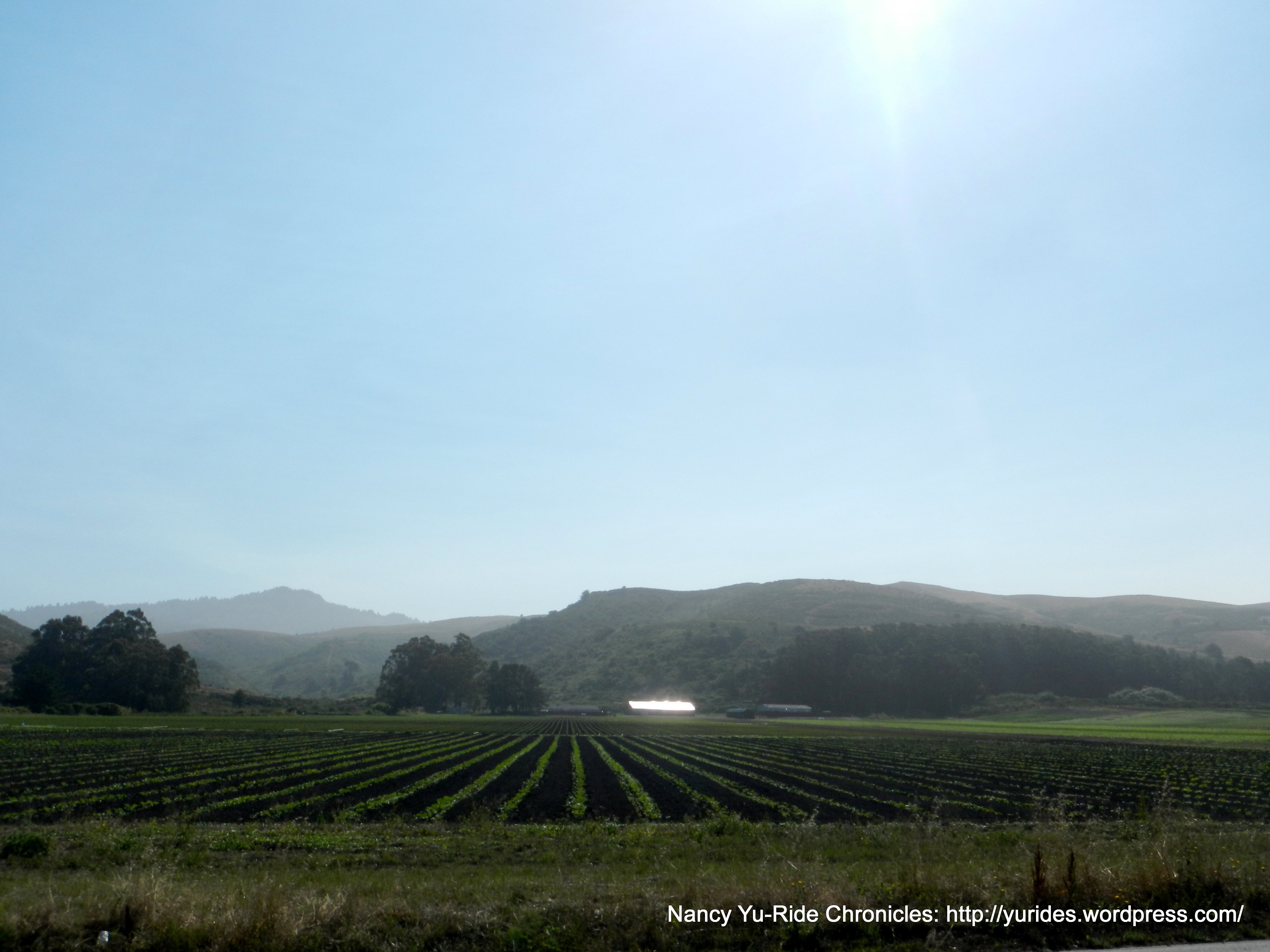 rich agricultural lands