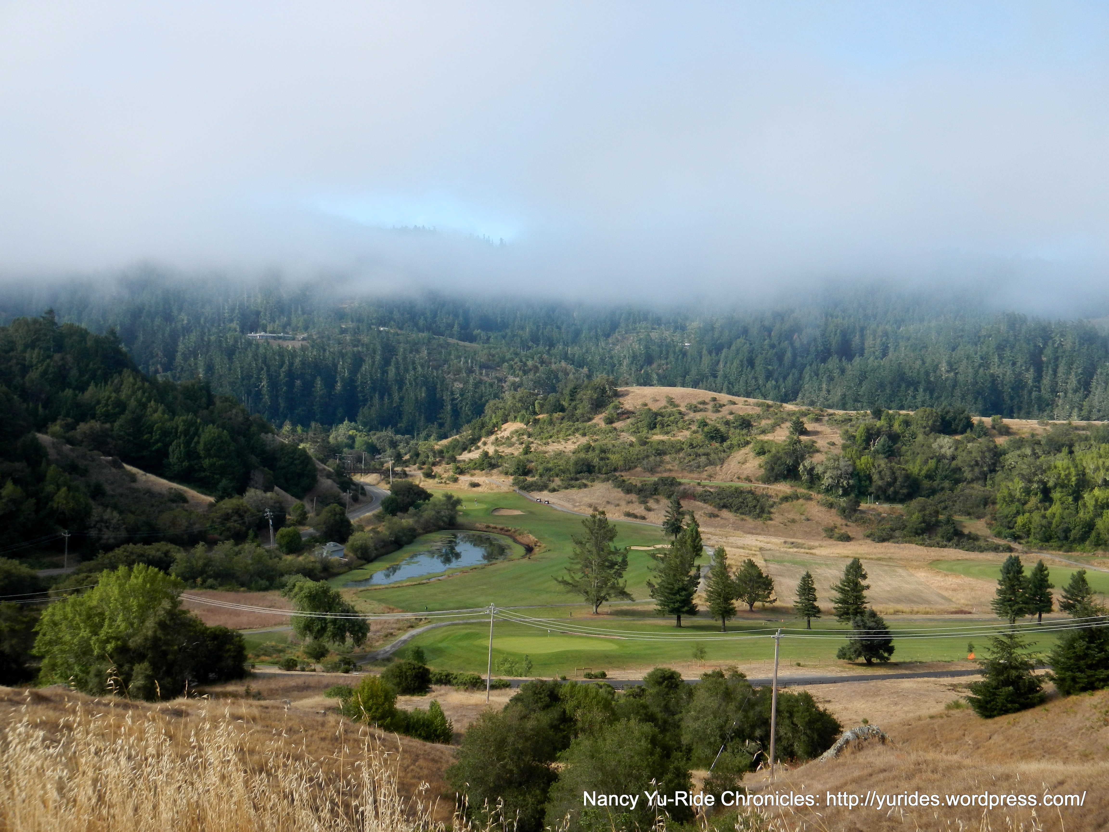 Maurice Thorner Memorial Preserve