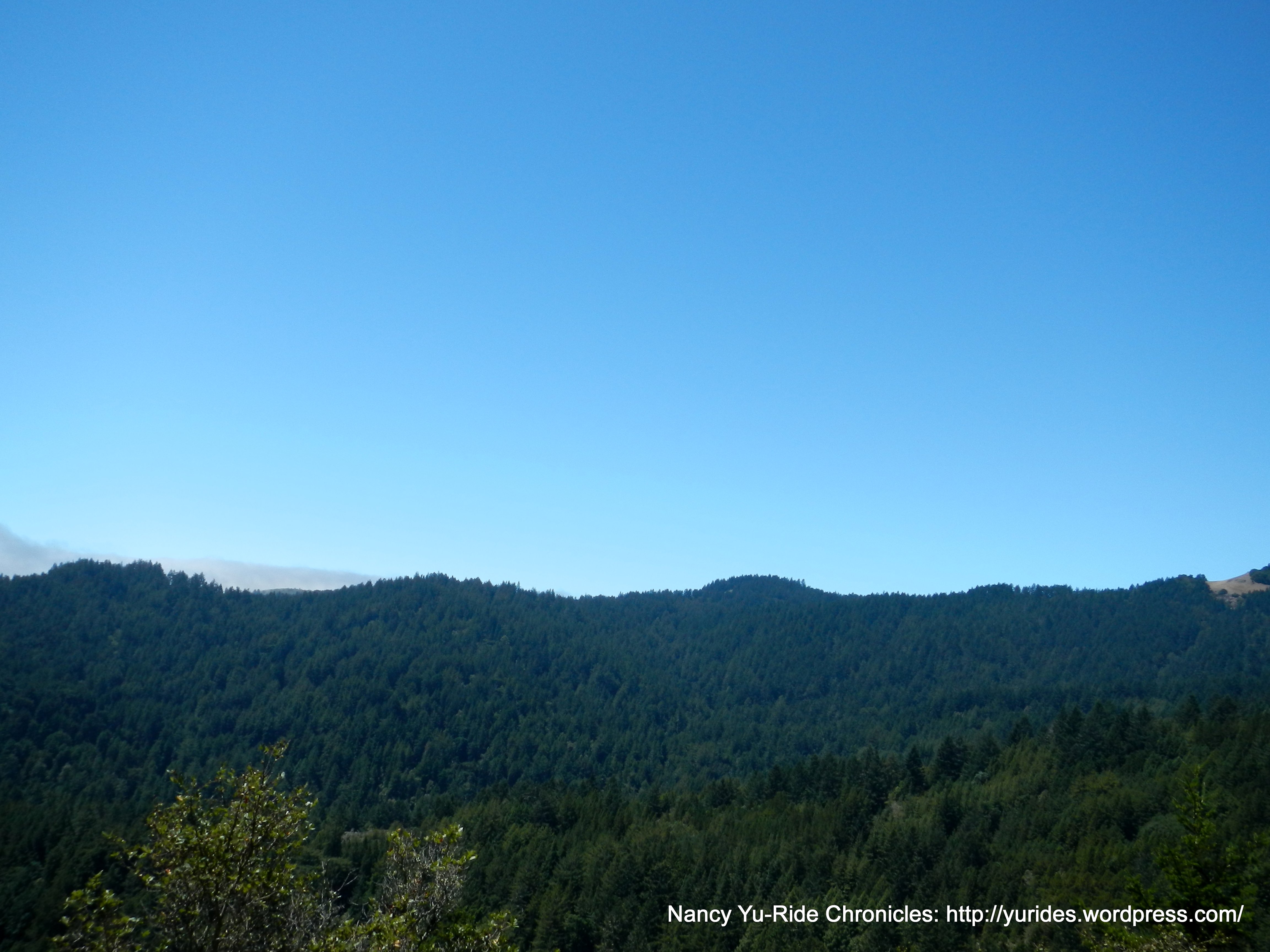view of Tam State Park