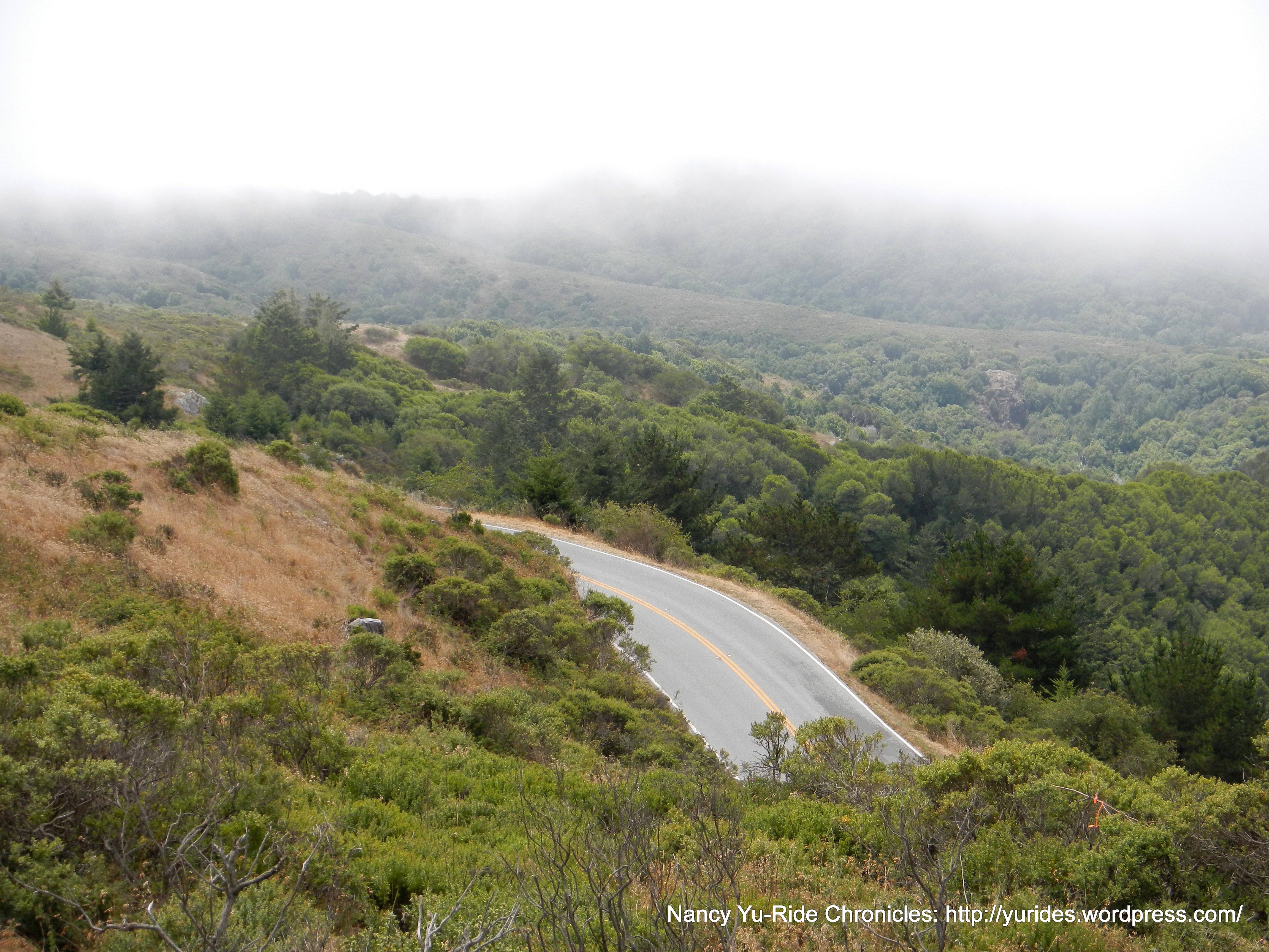 descend Muir Woods Rd