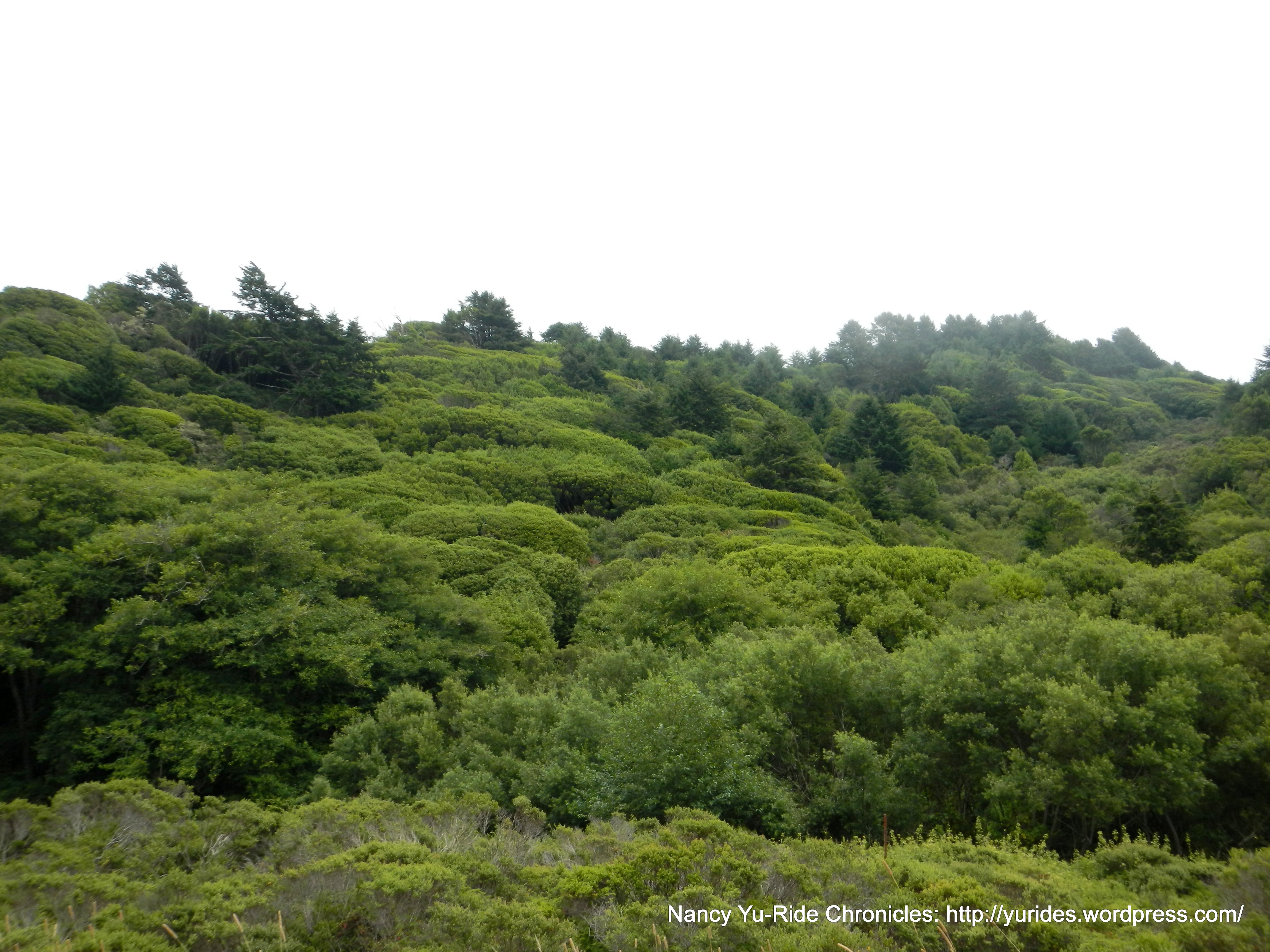 surrounding landscape