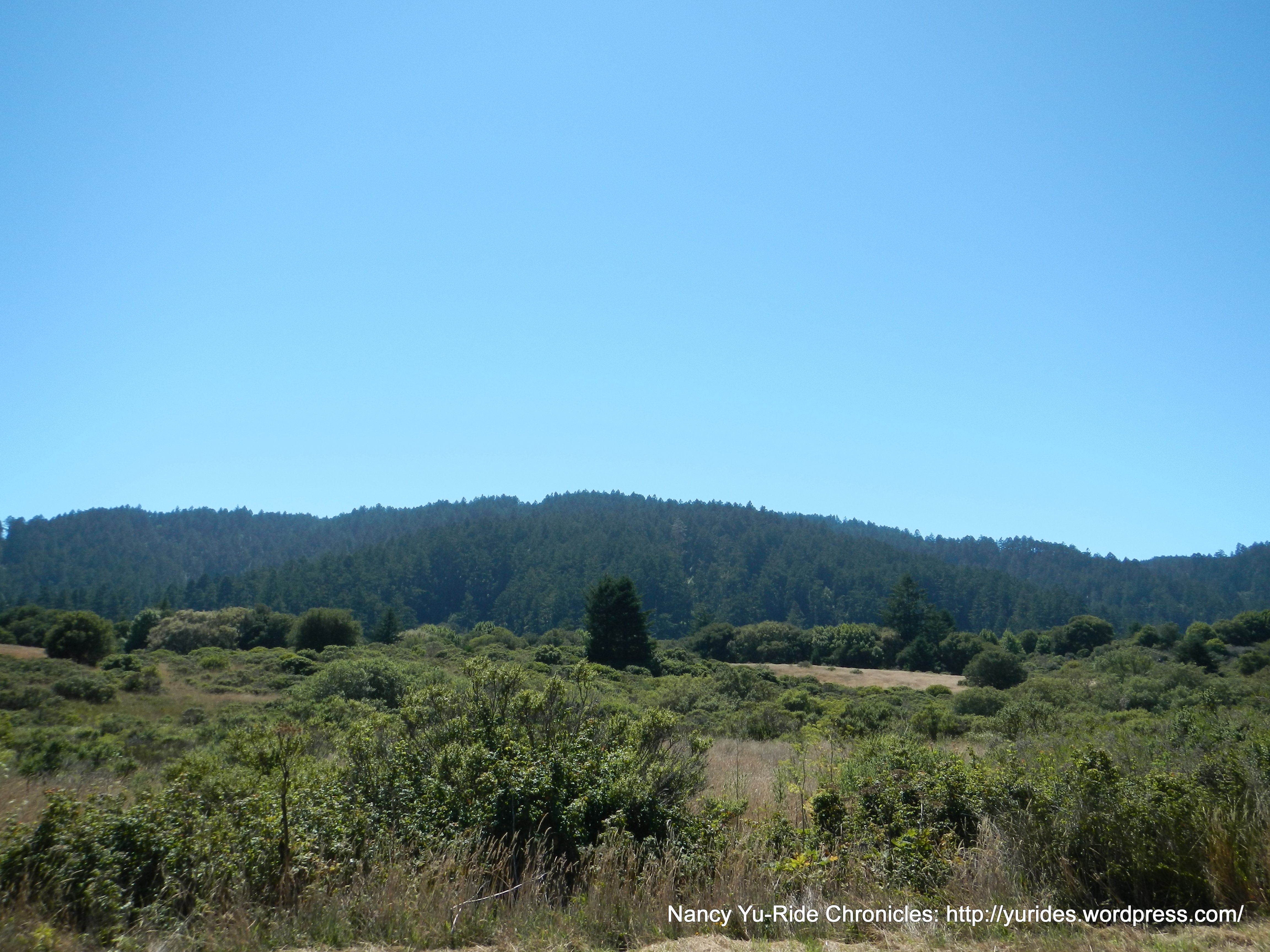part of Pt Reyes National Seashore area