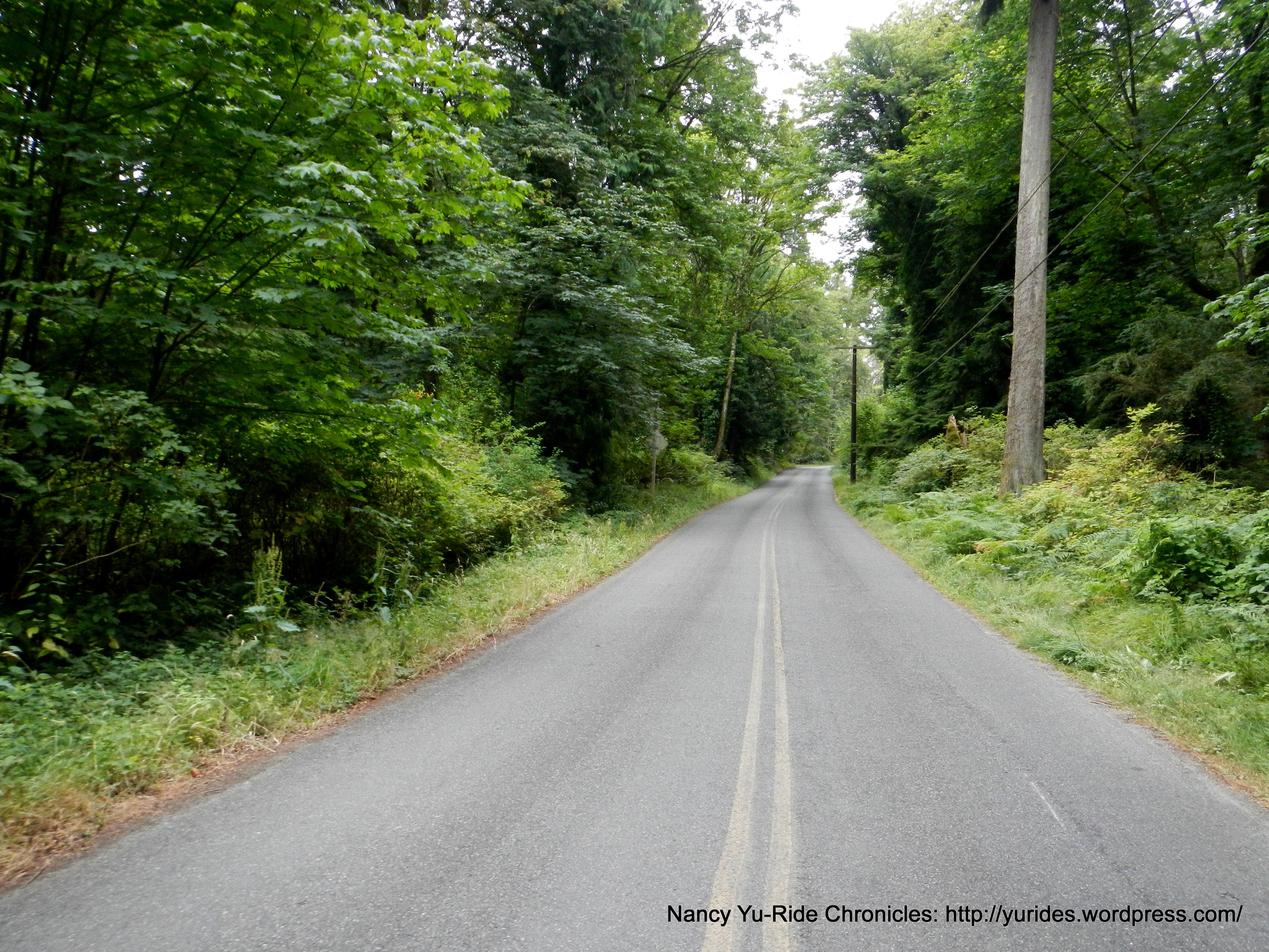 Climb up Toe Jam Hill Rd NE