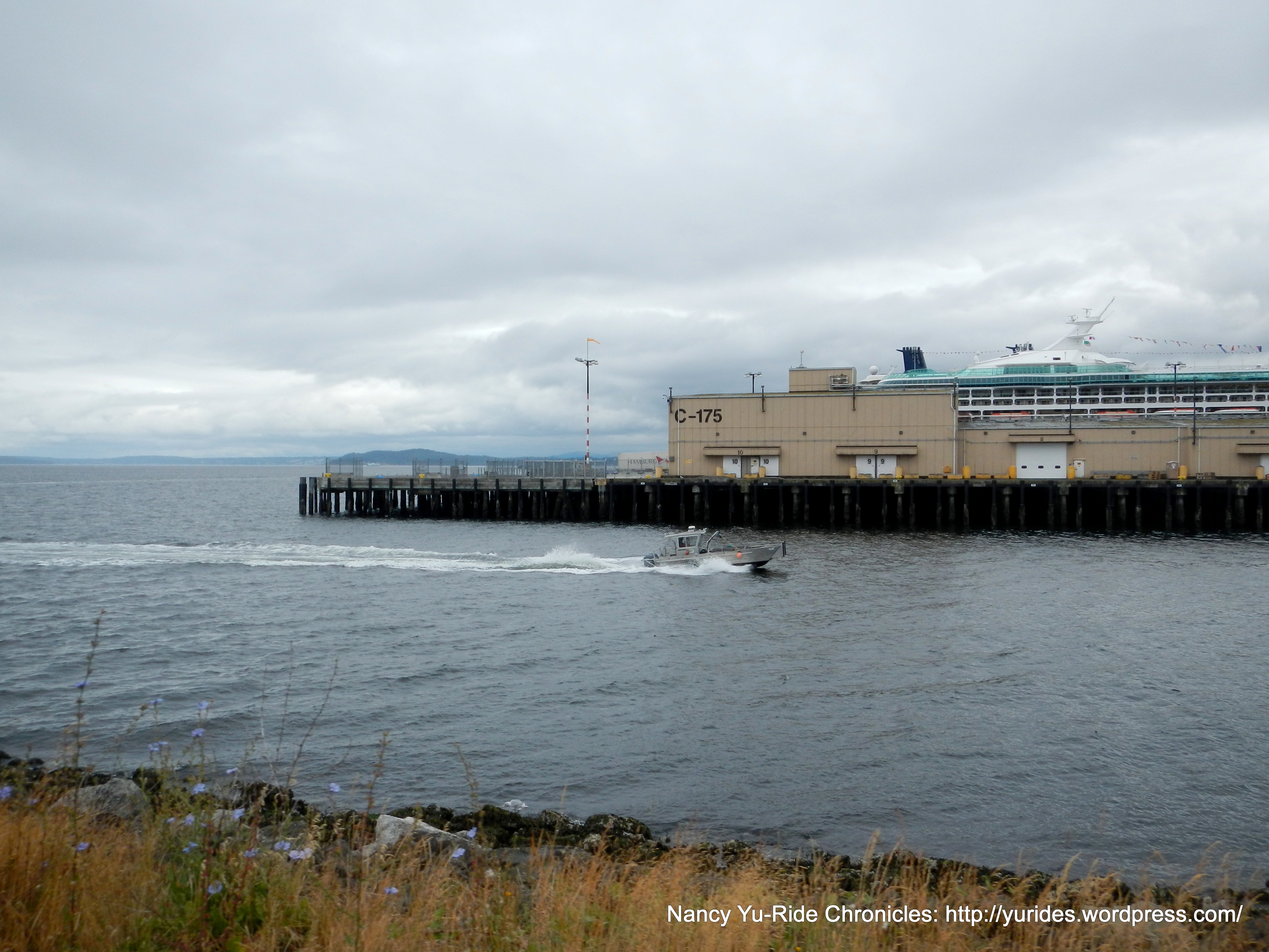 Pier 90-Cruise Terminal