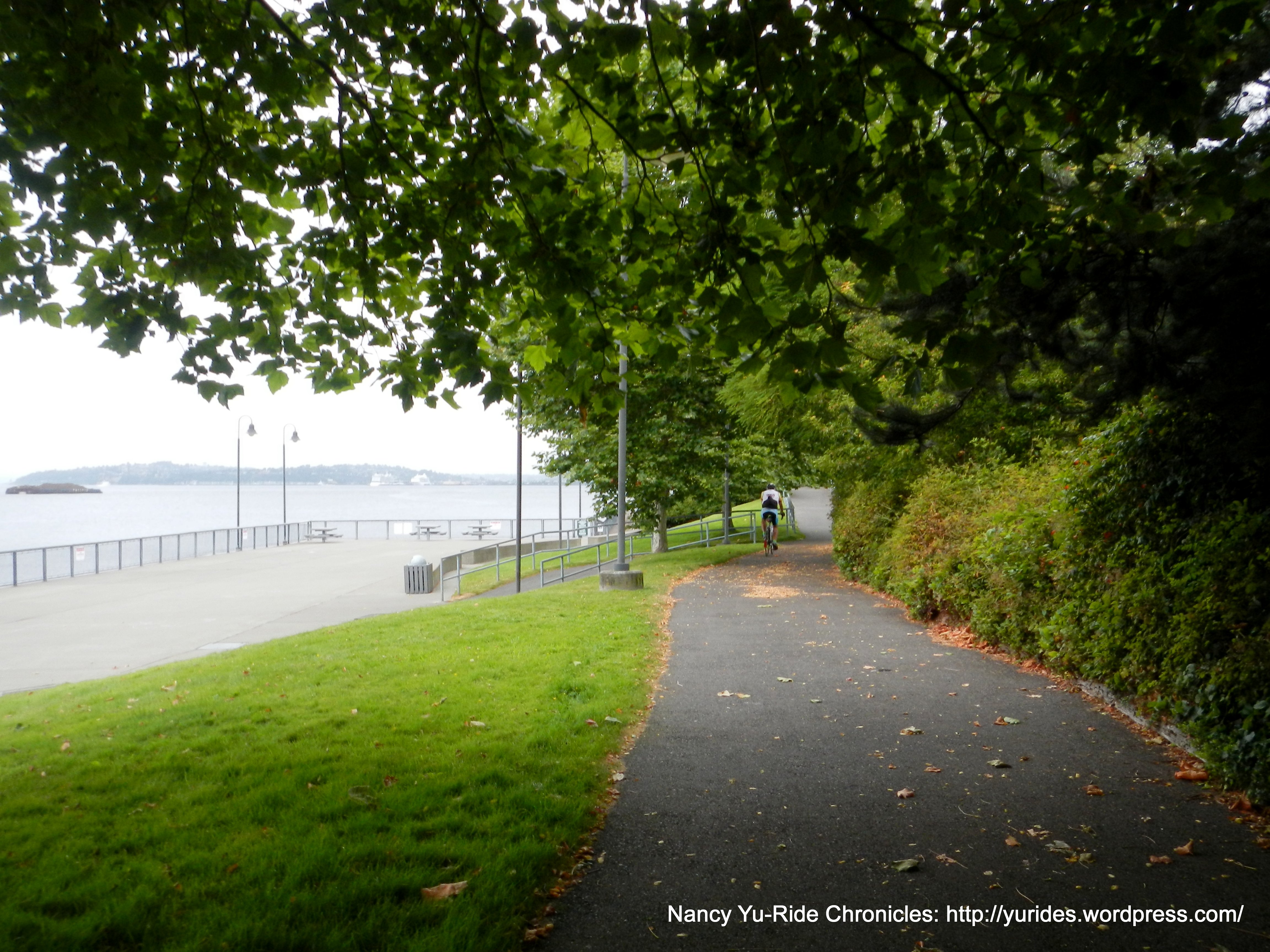 path to overlook area