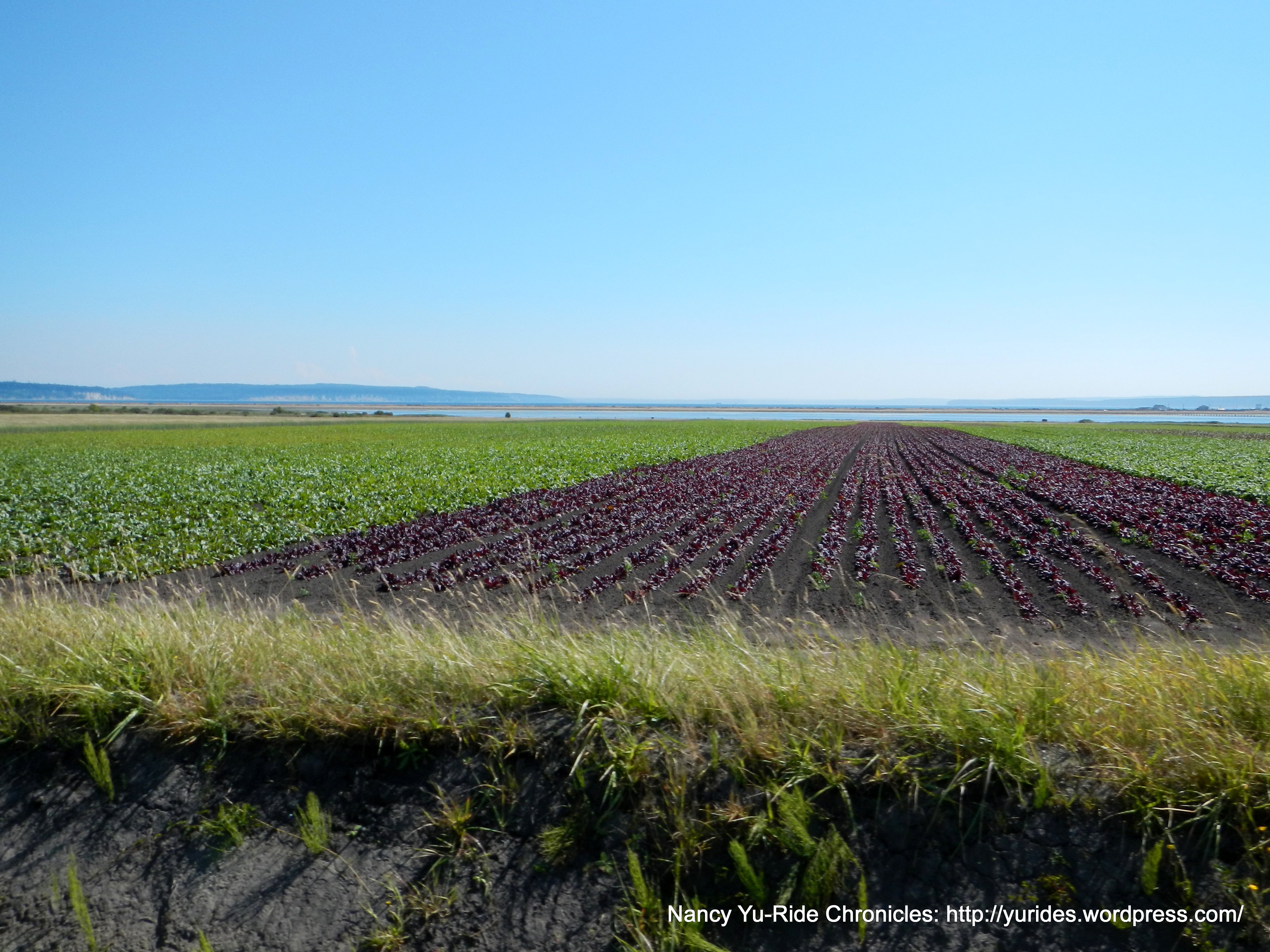 rich coastal farmlands