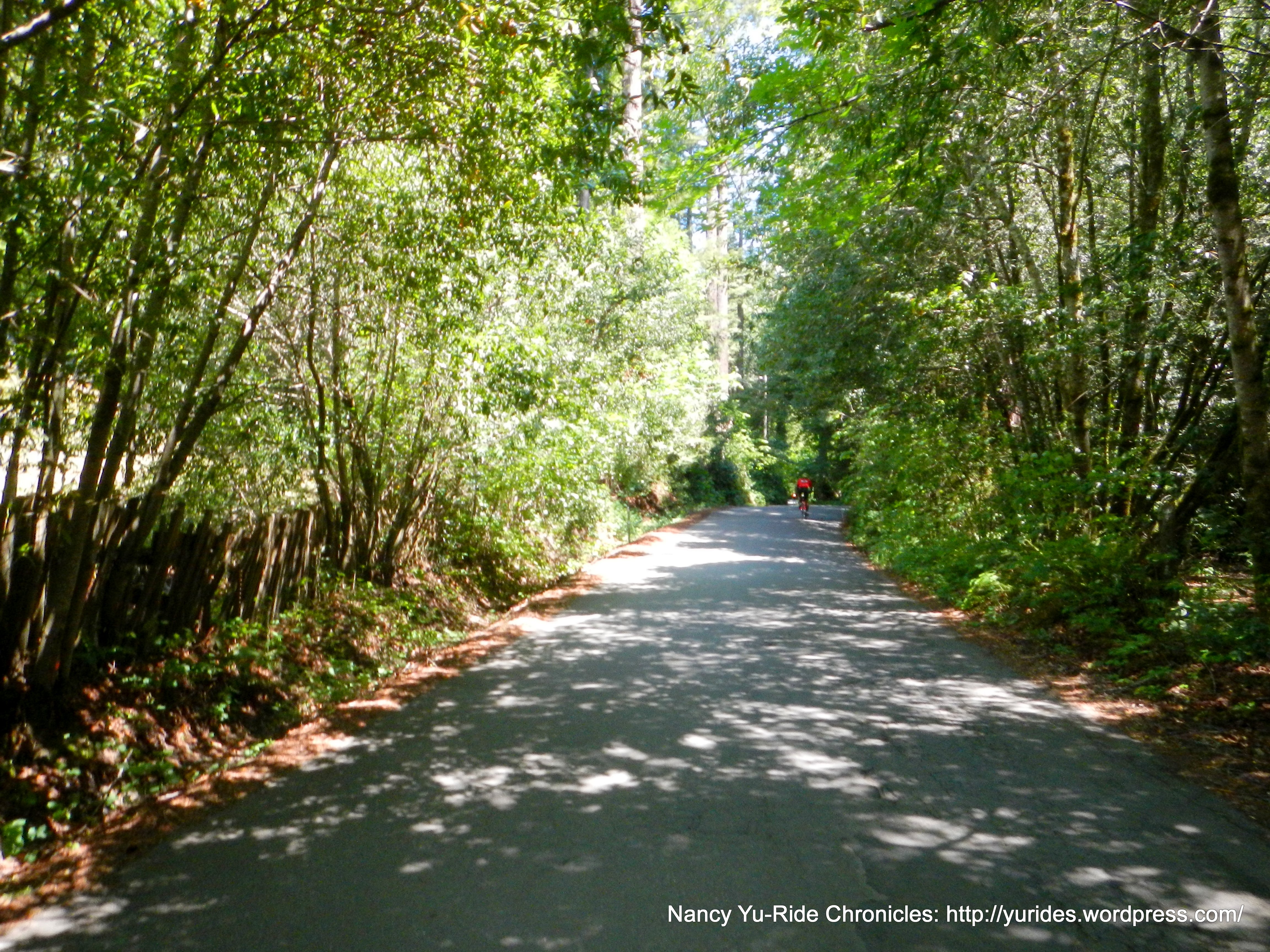 climb up Coleman Valley Rd