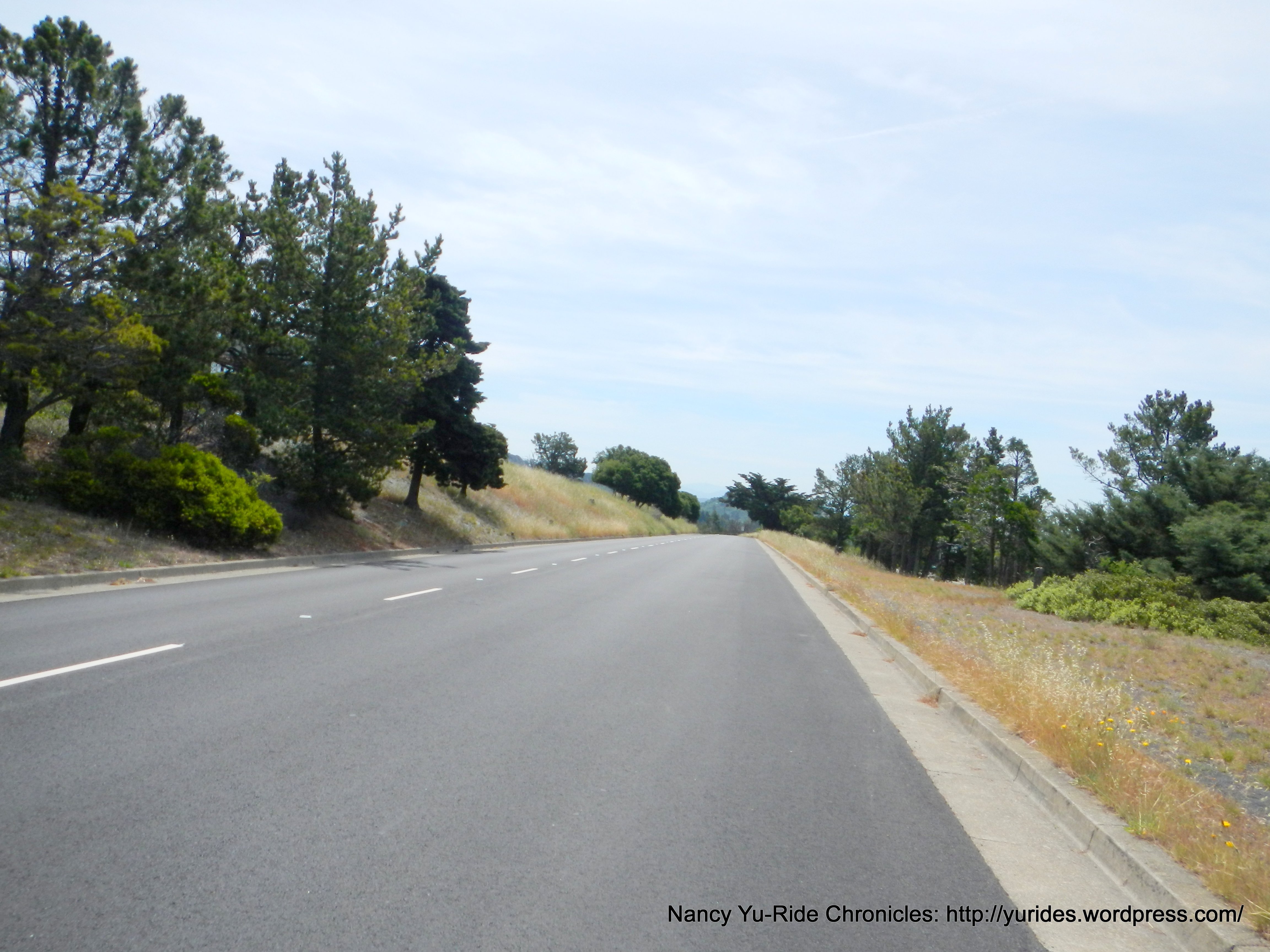 Skyline along the ridge