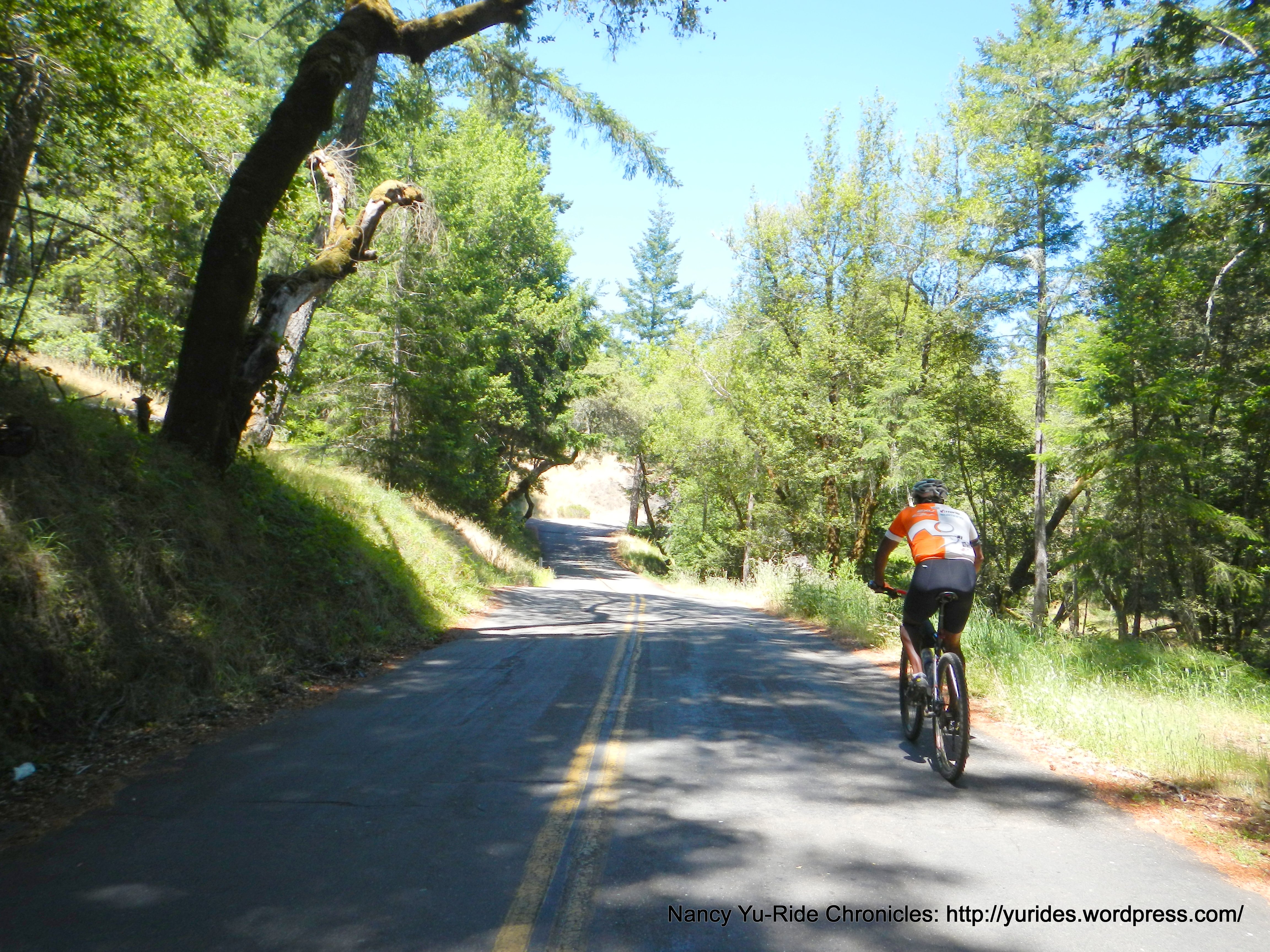 exit woods-Fairfax Bolinas Rd