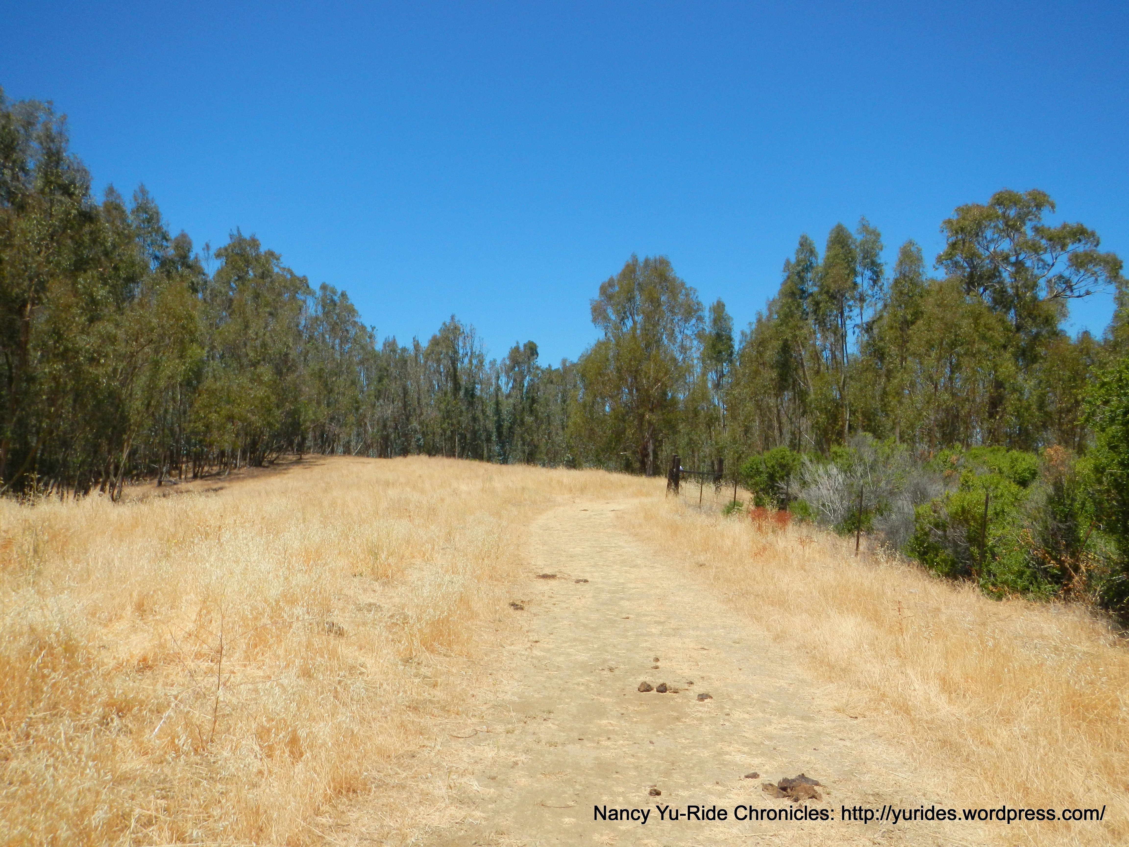 Carquinez Overlook Loop Trail