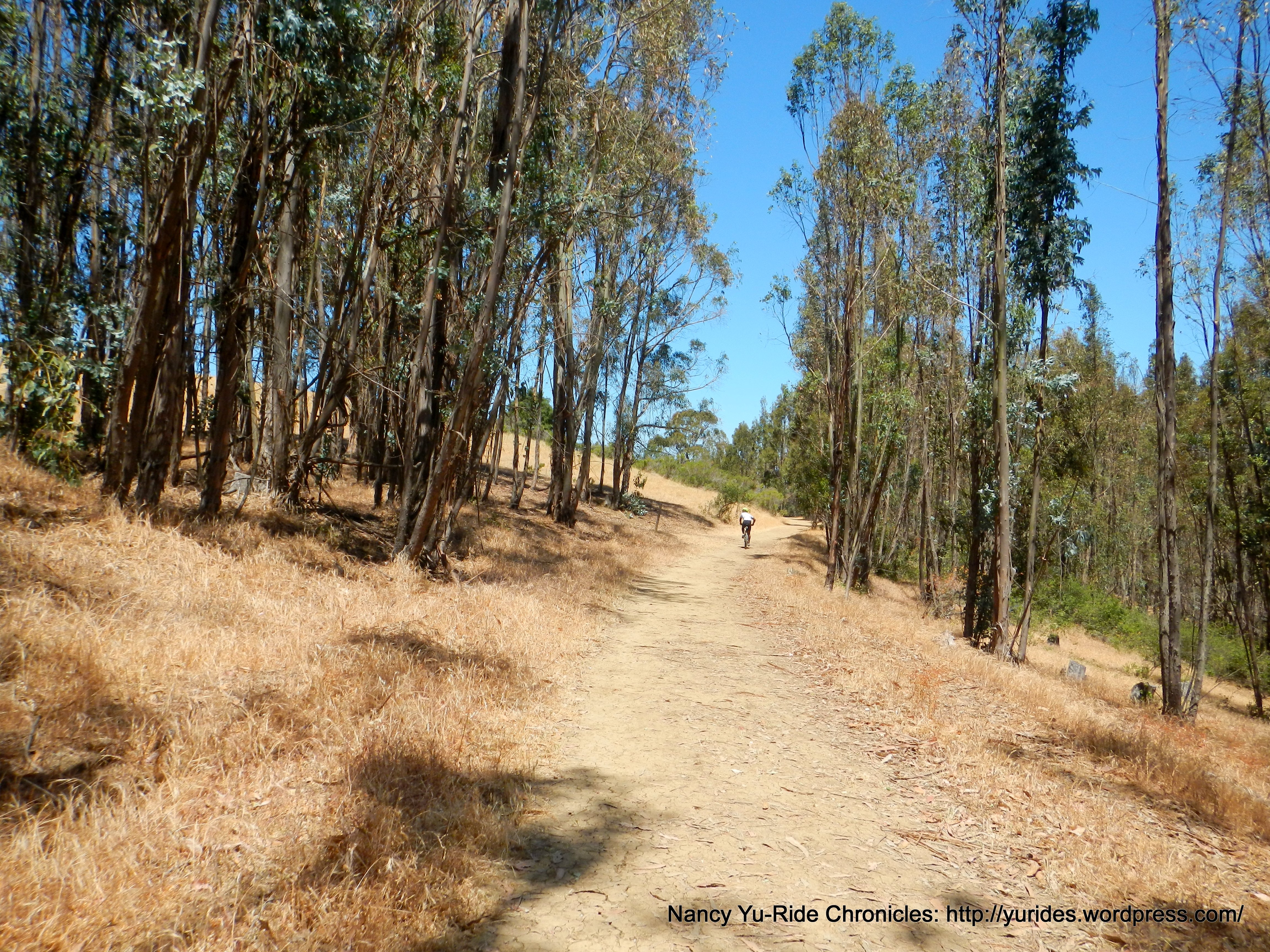 Carquinez Overlook Loop Trail