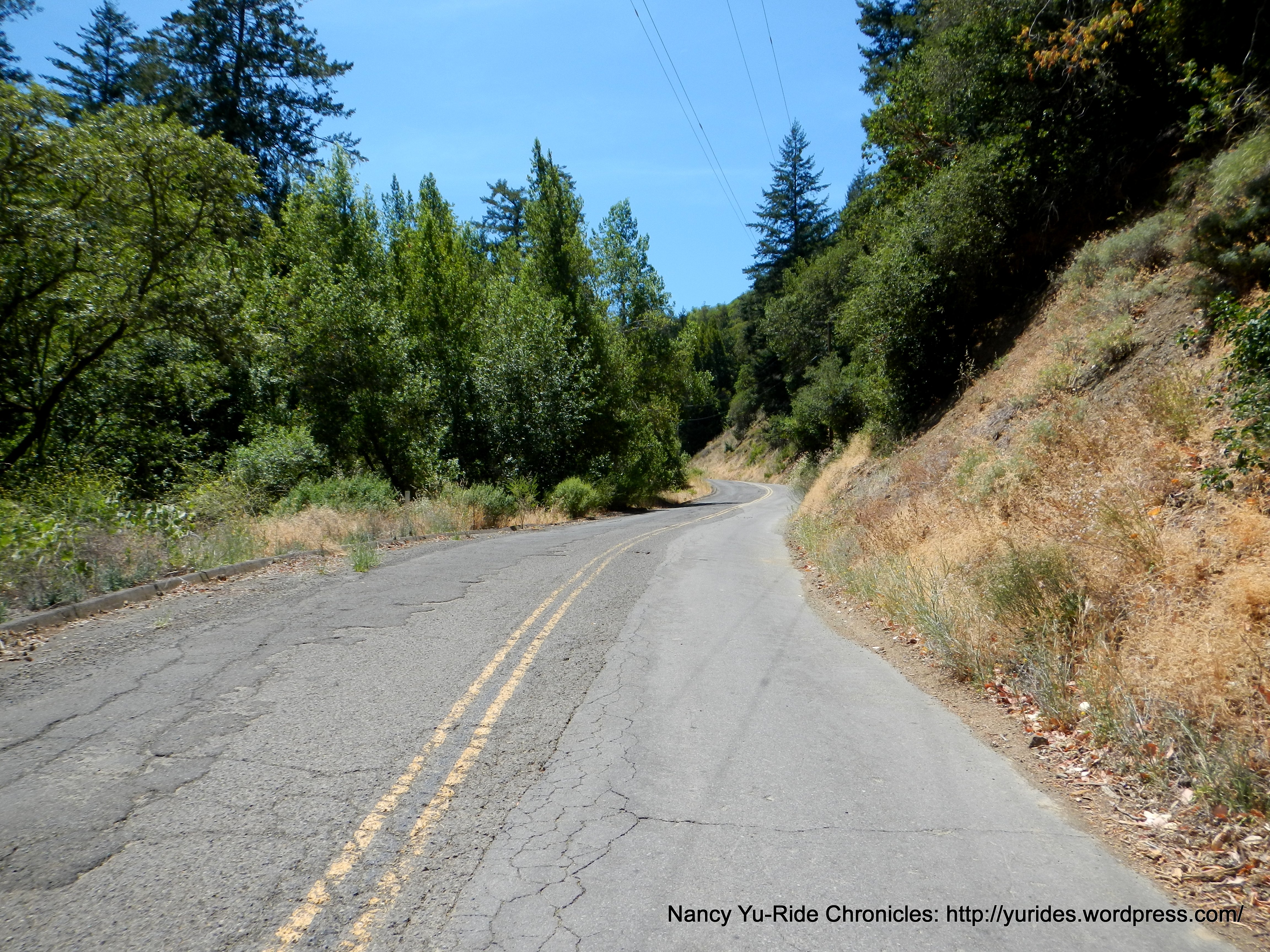 climb up Mt Veeder Rd