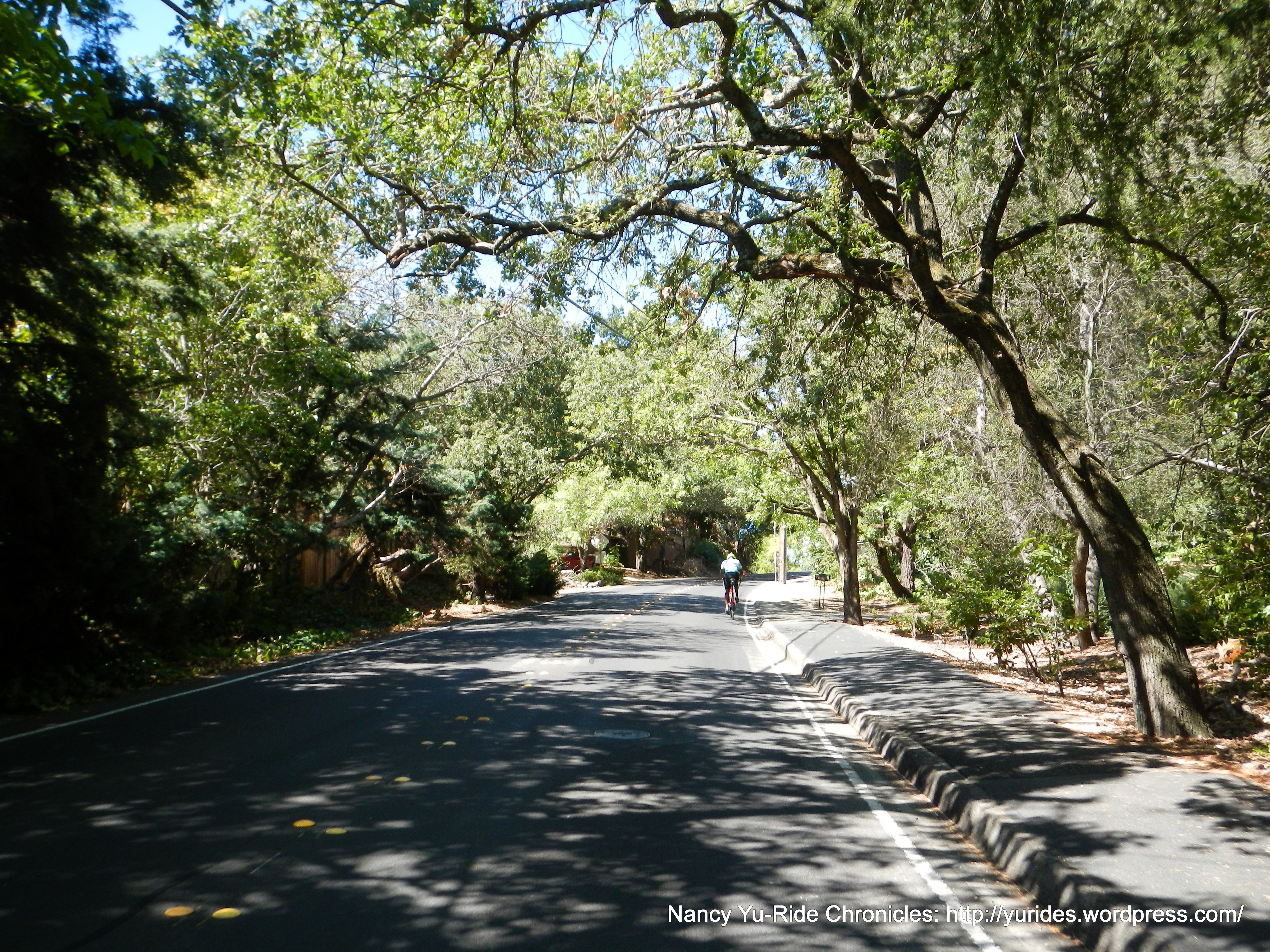 steep climb up Reliez Valley